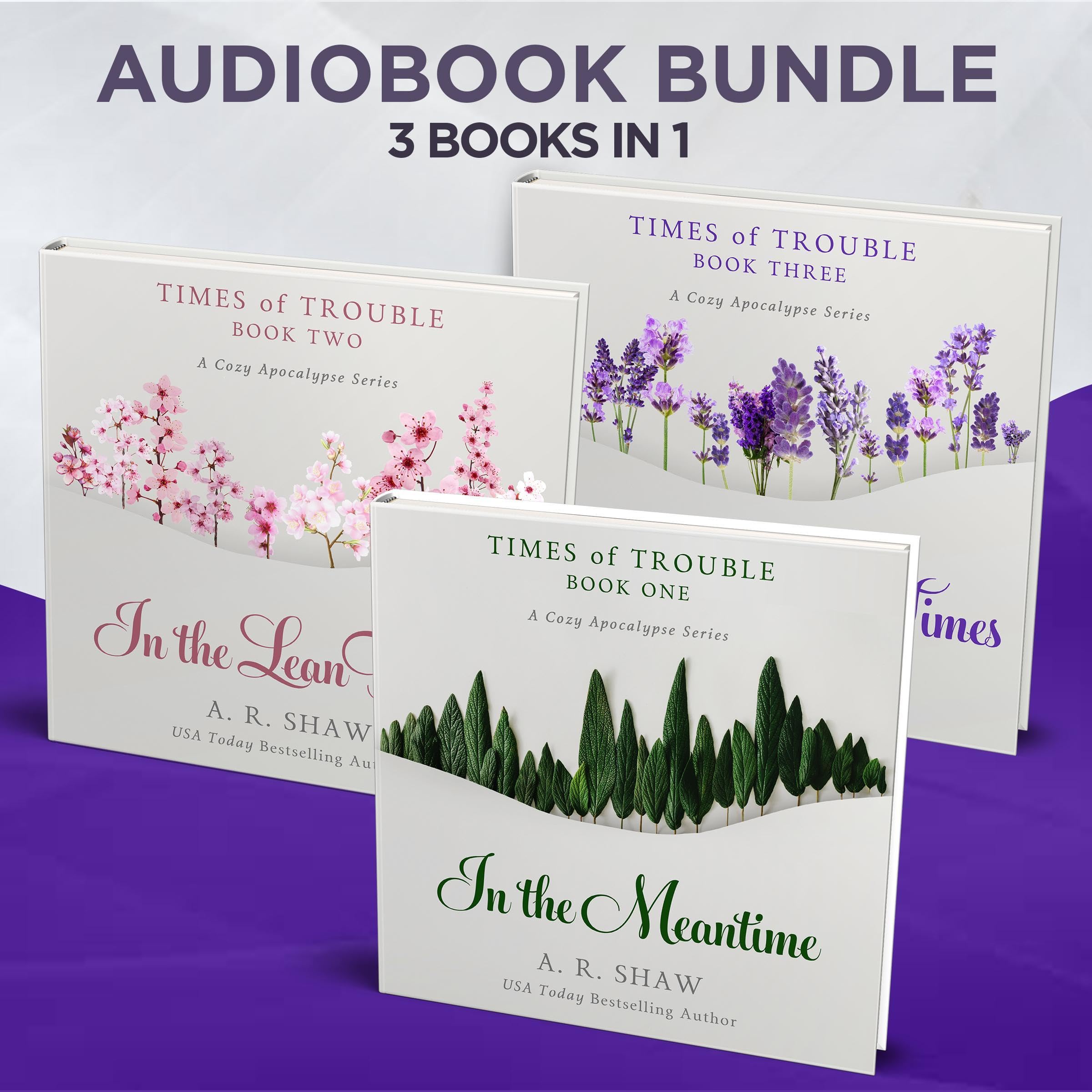 Cover art for Times of Trouble Box Set: A Cozy Apocalypse Series