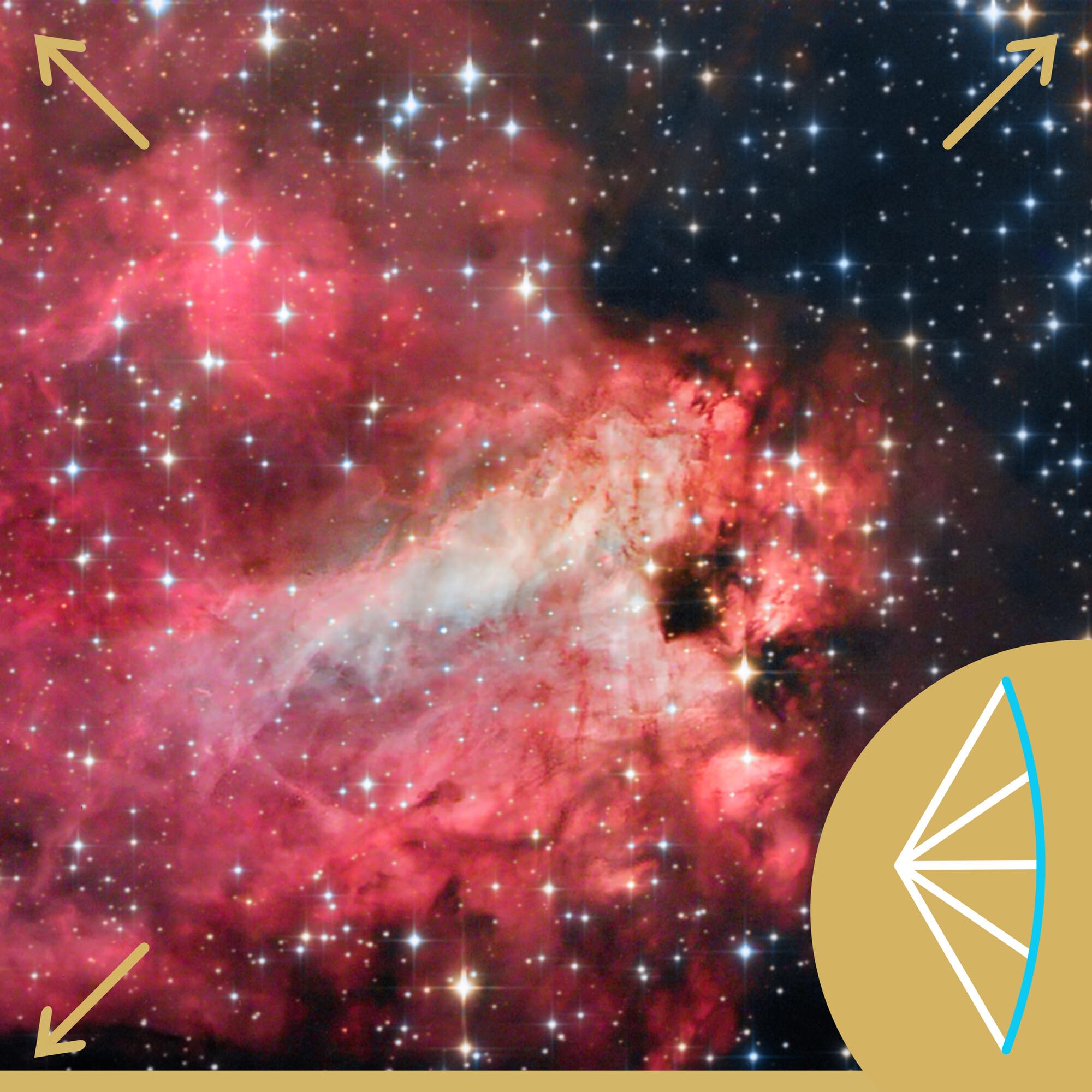 Omegon Teleskop Horizon CR N 114/900 EQ-1 Neo | parabolischer Hauptspiegel l für Deep-Sky | EQ-1 Neo Montierung | Crayford-Okularauszug | für Einsteiger & Fortgeschrittene | inkl. Zubehör