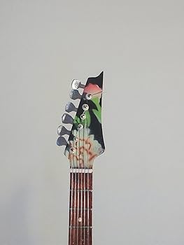 Amazon | Frank Zappa Steve Vai Ibanezフラワーカット