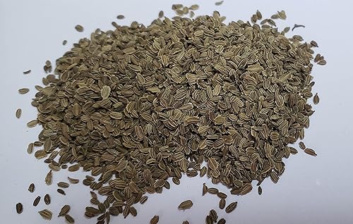 Miniatura 2 de Semillas de zanahoria "New Kuroda"  Zanahoria de crecimiento rápido  Cosecha en 75 días  Daucus Carota VAR. Sativus  Nunca transgénicos, siempre