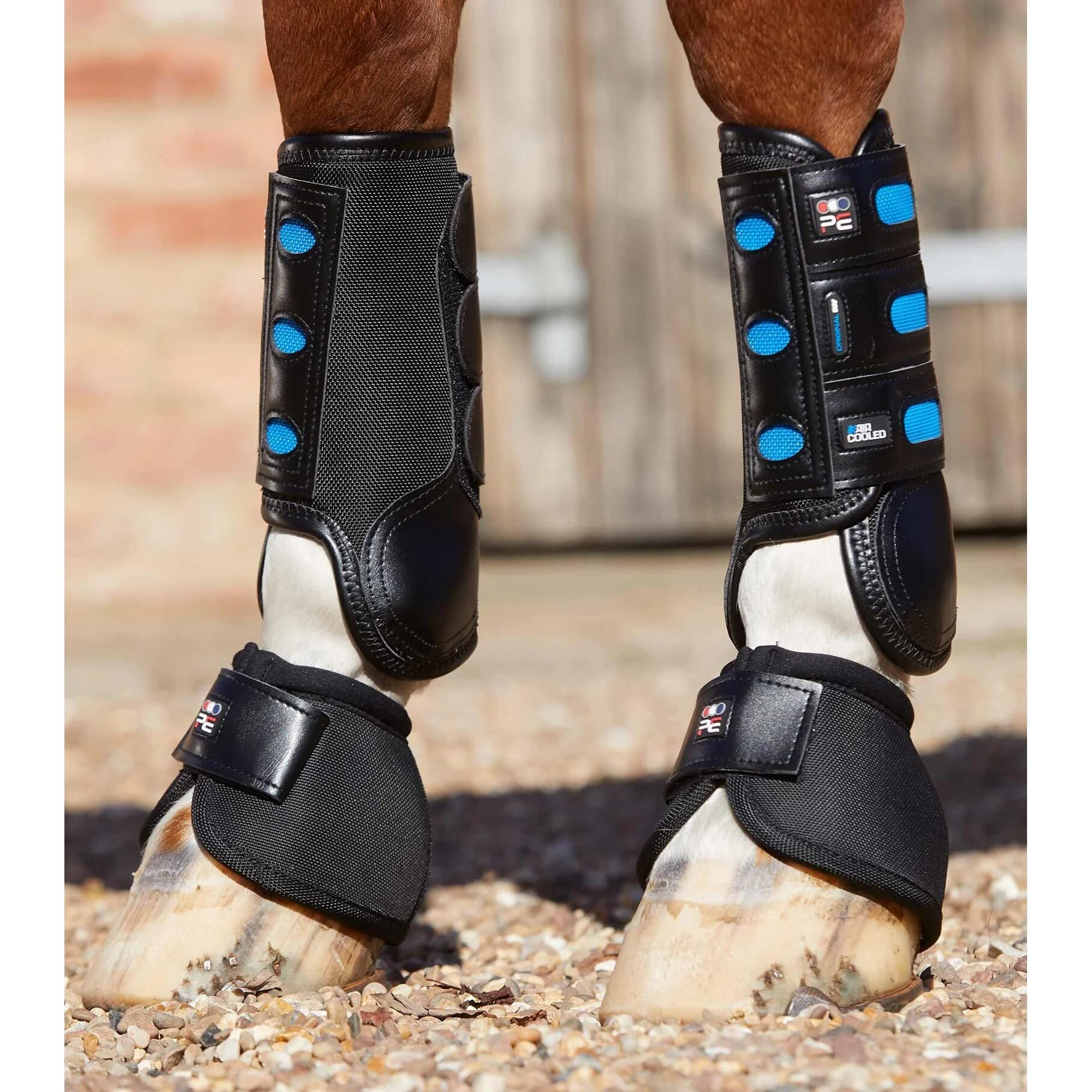 Premier Equine Guêtres antérieurs pour Cheval Air Cooled Original Eventing