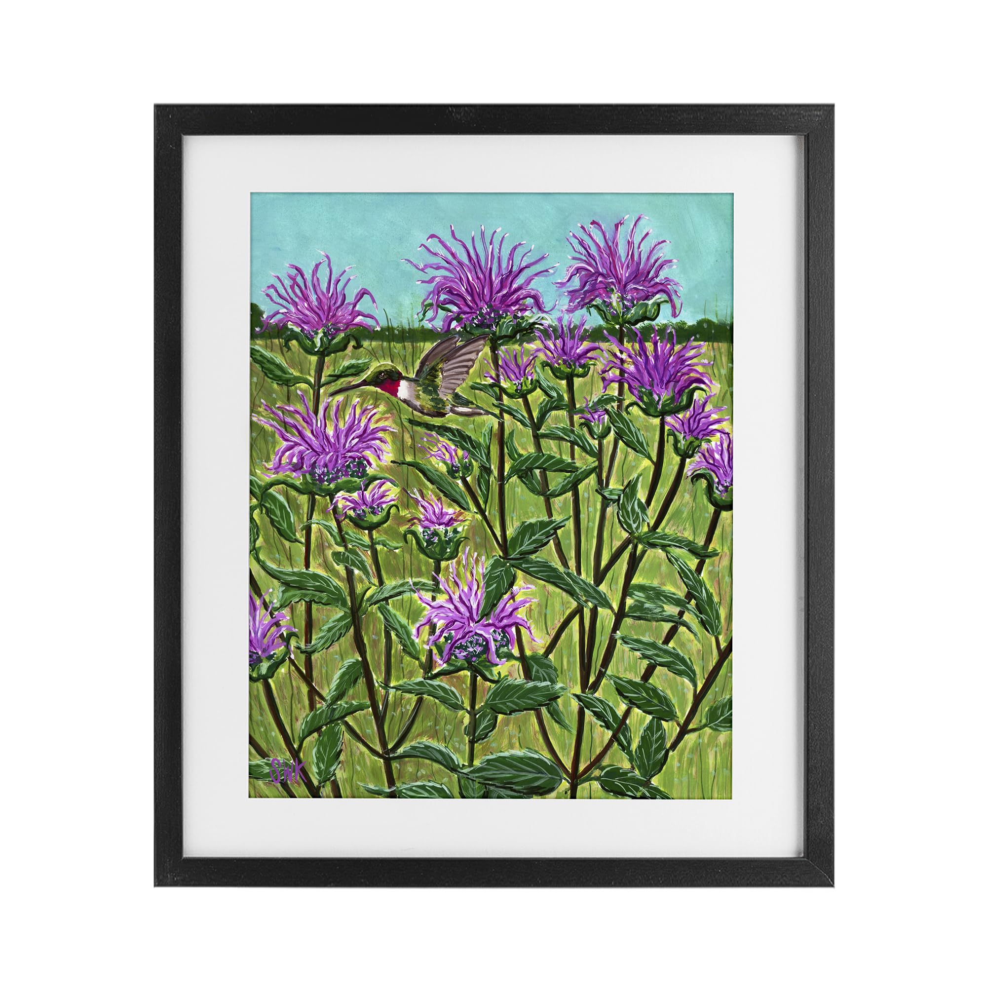 Stupell Industries Midnight Black (Textured) 'Ruby Throated Hummingbird & Beebalm'| Framed Print Under Glass