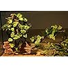 Product Photo 3