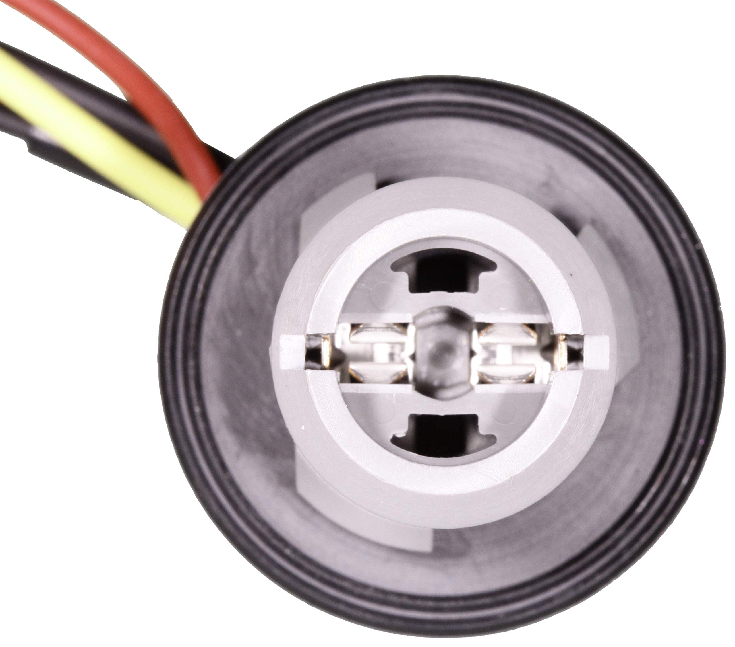 Amazon.com: WVE by NTK 1P2175 Back Up Light Wiring Harness 