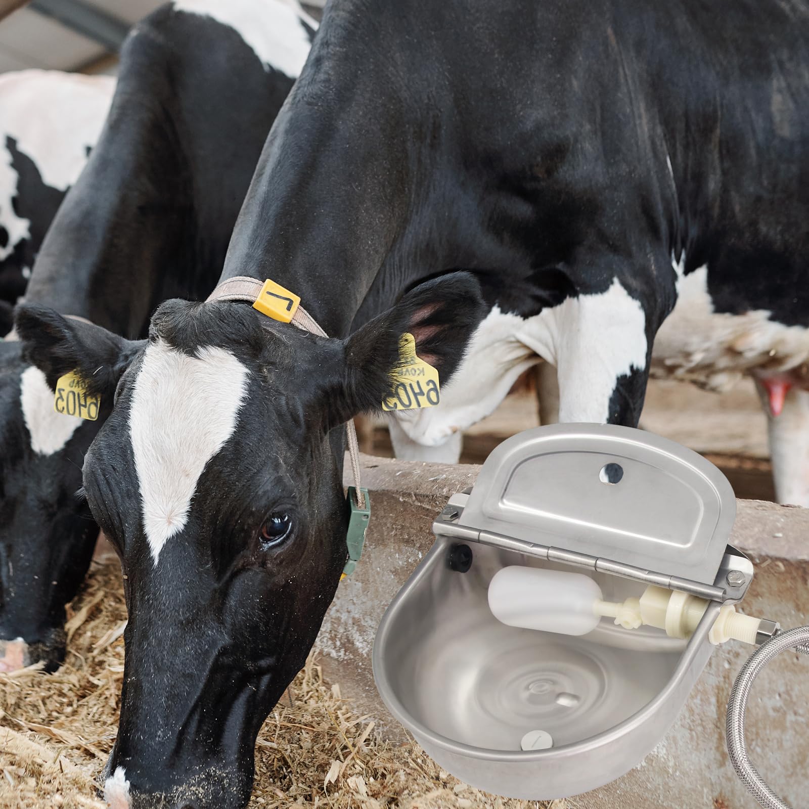 Tazón de agua de acero inoxidable 304 para ganado, cuencos para beber animales, cuencos de asignación automática con válvula flotante y agujeros de drenaje, adecuado para vacas, caballos, cabras,