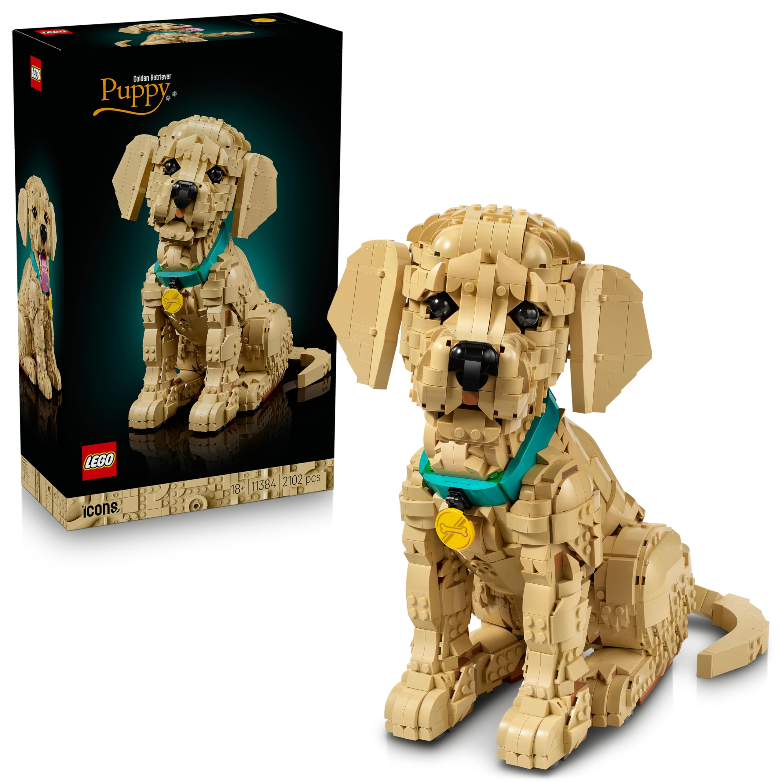 LEGO Icons Golden Retriever Welpe - Modellbau für Erwachsene - 3D Tierfigur zum Ausstellen mit Halsband & Medaille - DIY Deko für Regal oder Schreibtisch - Geschenkidee für Kunst- & Bastelfans - 11384