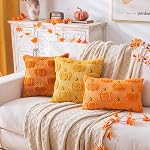 Pompe d'automne Couvertures d'oreillers à jet orange 18x18, Ensemble de 2 Décorations d'Action de grâces d ́Halloween Oreillers à l ́automne intérieur pour les fêtes de canapé Couch