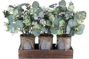 Set of 3 Farmhouse Galvanized Metal Pot and Eucalyptus in Wood Box