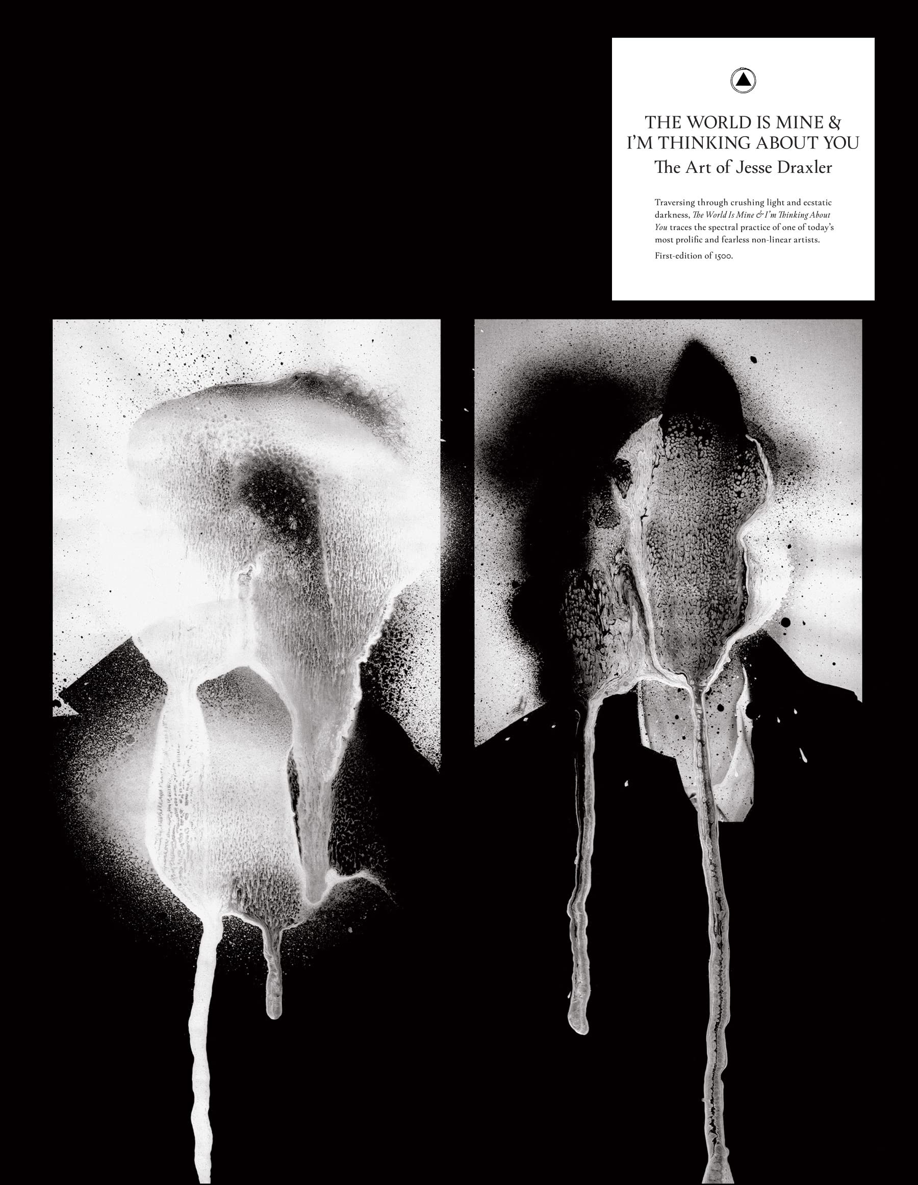 The World Is Mine and I'm Thinking about You: The Art of Jesse Draxler