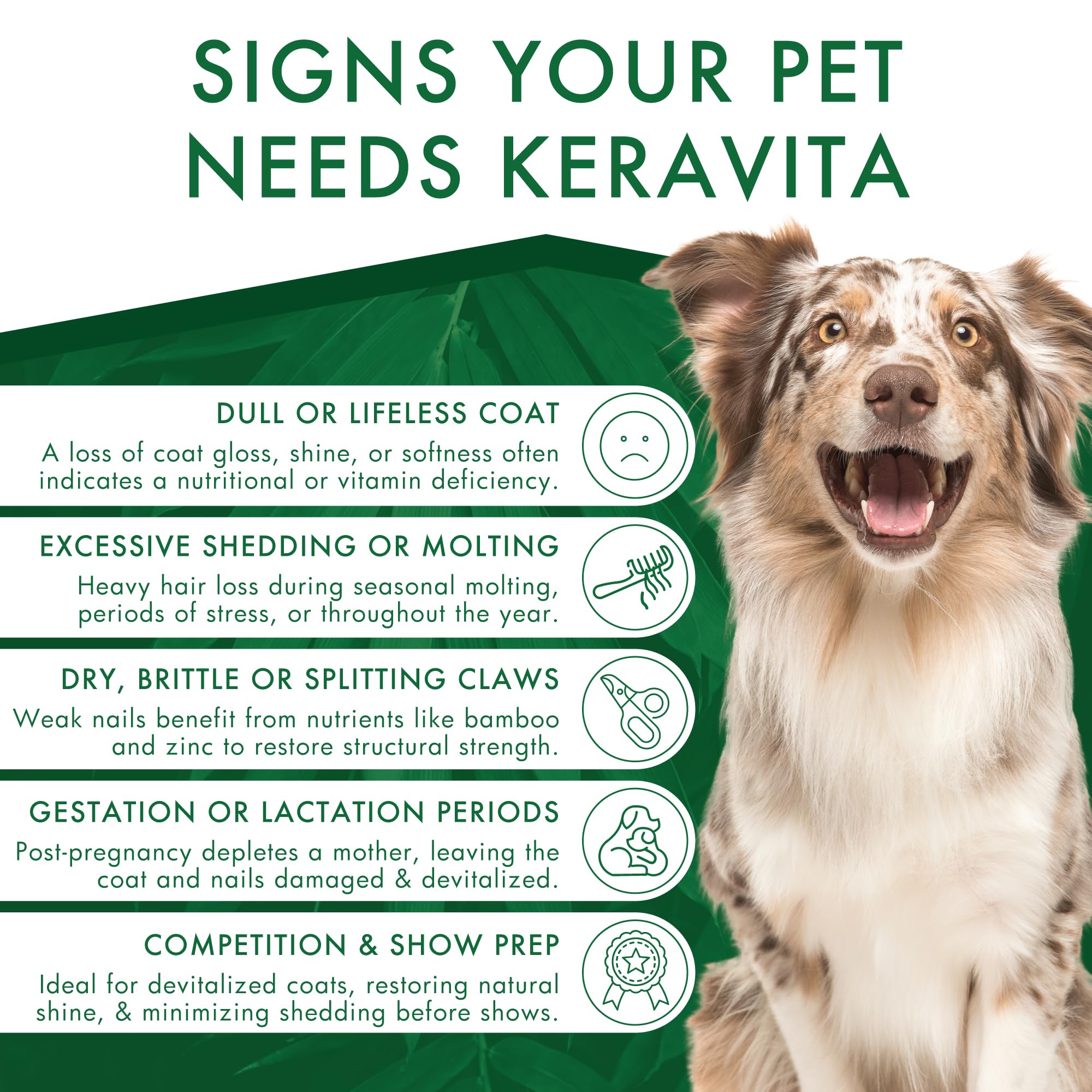 Keravita | witalność sierści i mocne pazury dla psów i kotów | naturalna formuła z keratyną botaniczną, bambusem, witaminami i cynkiem | łatwe w obsłudze, smaczne tabletki