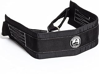 Bells of Steel Squat Belt Dip Belt for Weight Lifting - Commercial and Home Gym Belt Squat - 5in Width Weighted Pull Up Belt with Chain and Inner Padding, 12in Chain Belt Squat Attachment