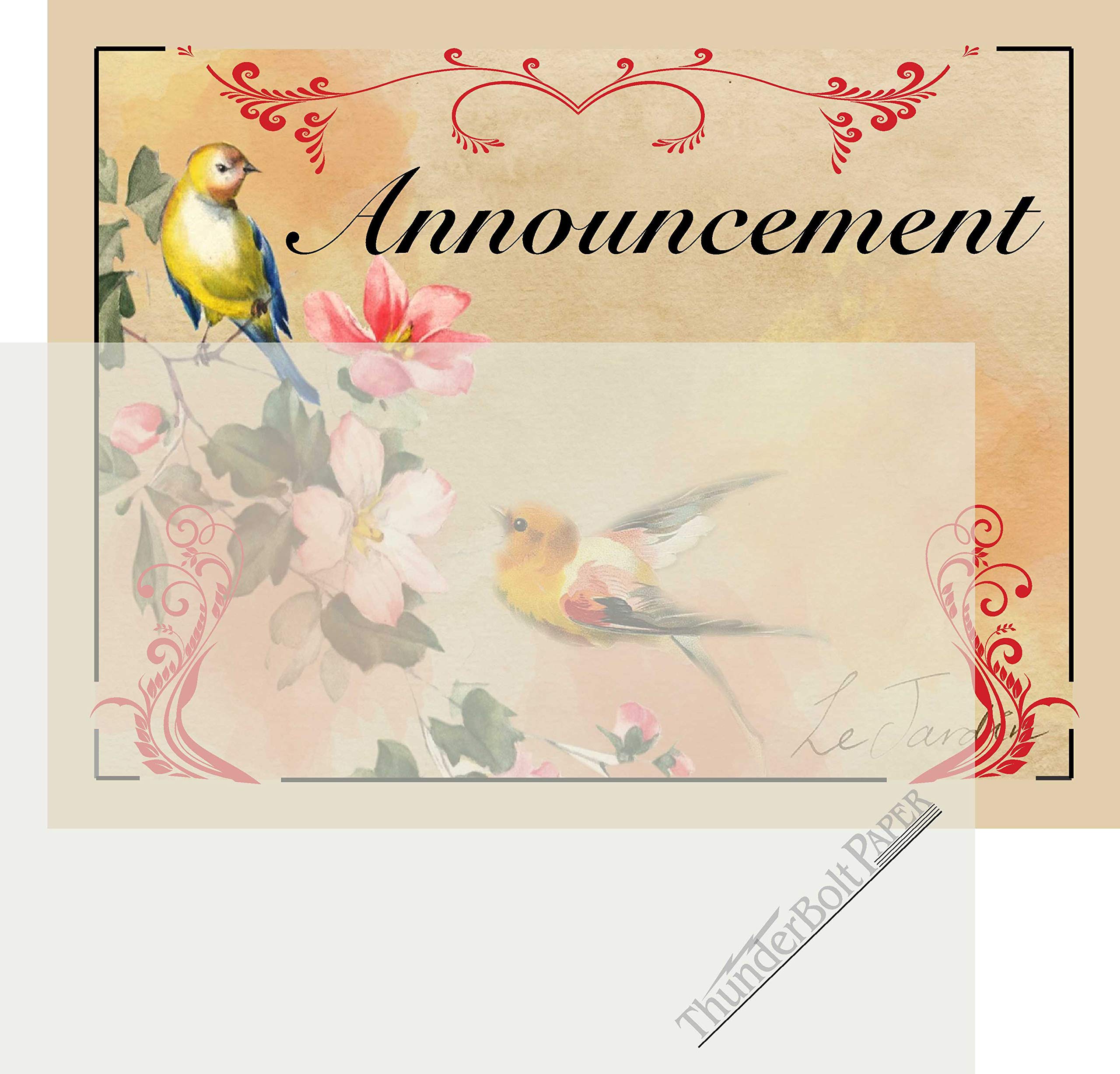 100 Off-White Translucent 17# Thin Sheets - 4.25X5.5 Inches (1/4) Quarter Letter Size - 17 lb/pound Light Weight Fine Quality Paper - Tracing - Light Gray, Not Clear Transparent