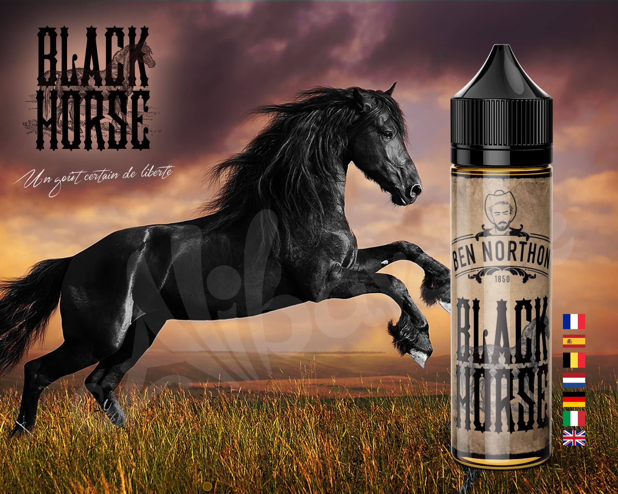 elfbar nachfüll pod läuft aus E-liquide Ben Northon, E liquide Francais 50 50 PG/VG, Eliquide Tabac Ben  Northon main image 1