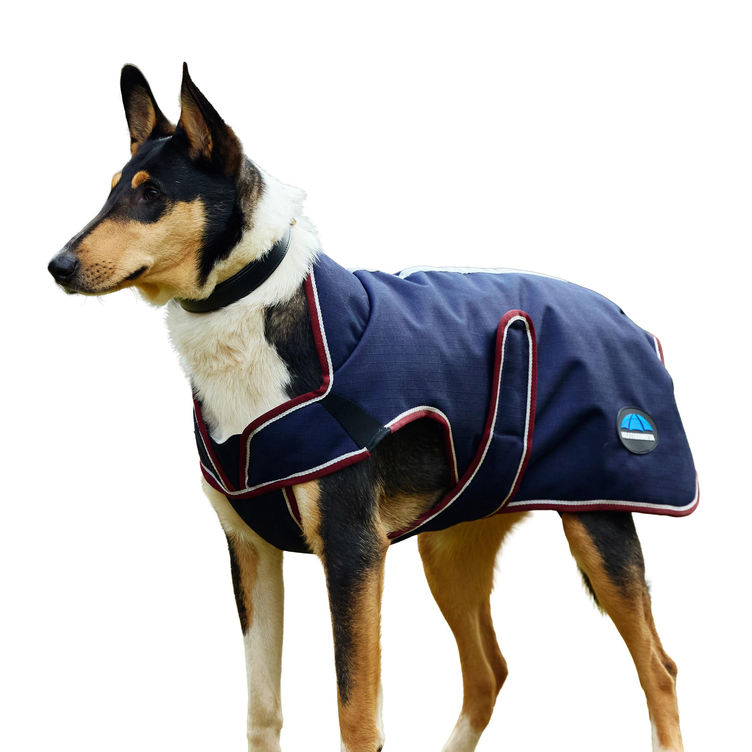 WeatherBeeta ComFiTec Premier Deluxe Hundemantel, wasserdicht, Marineblau/Burgunderrot, 60 cm