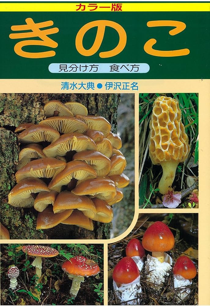 つきのこ様への専用確認 森のきのこ倶楽部 椎茸 種駒 椎茸菌 【正規販売店】シイタケ菌