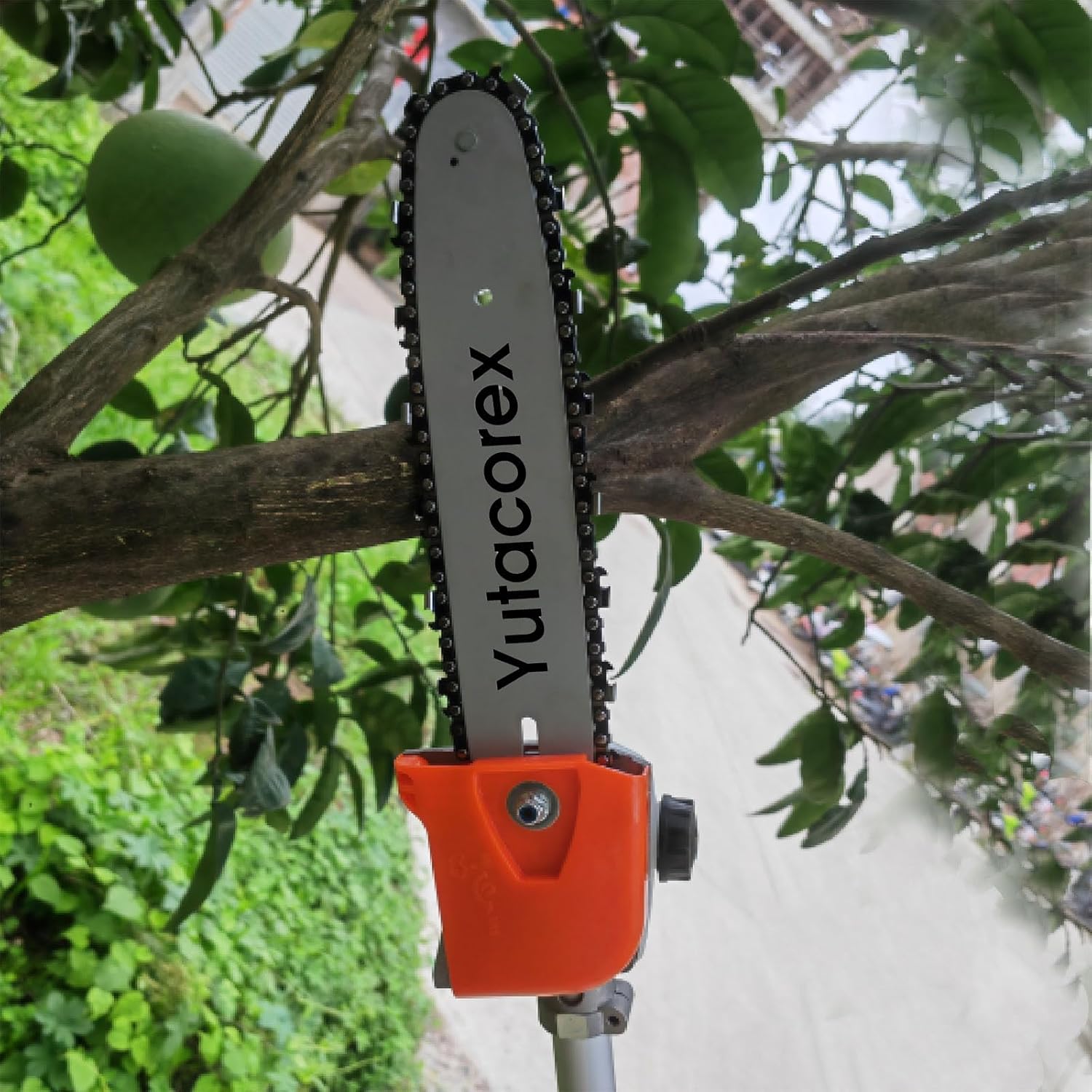 8inch Guide Bar and Chain Combo view 5