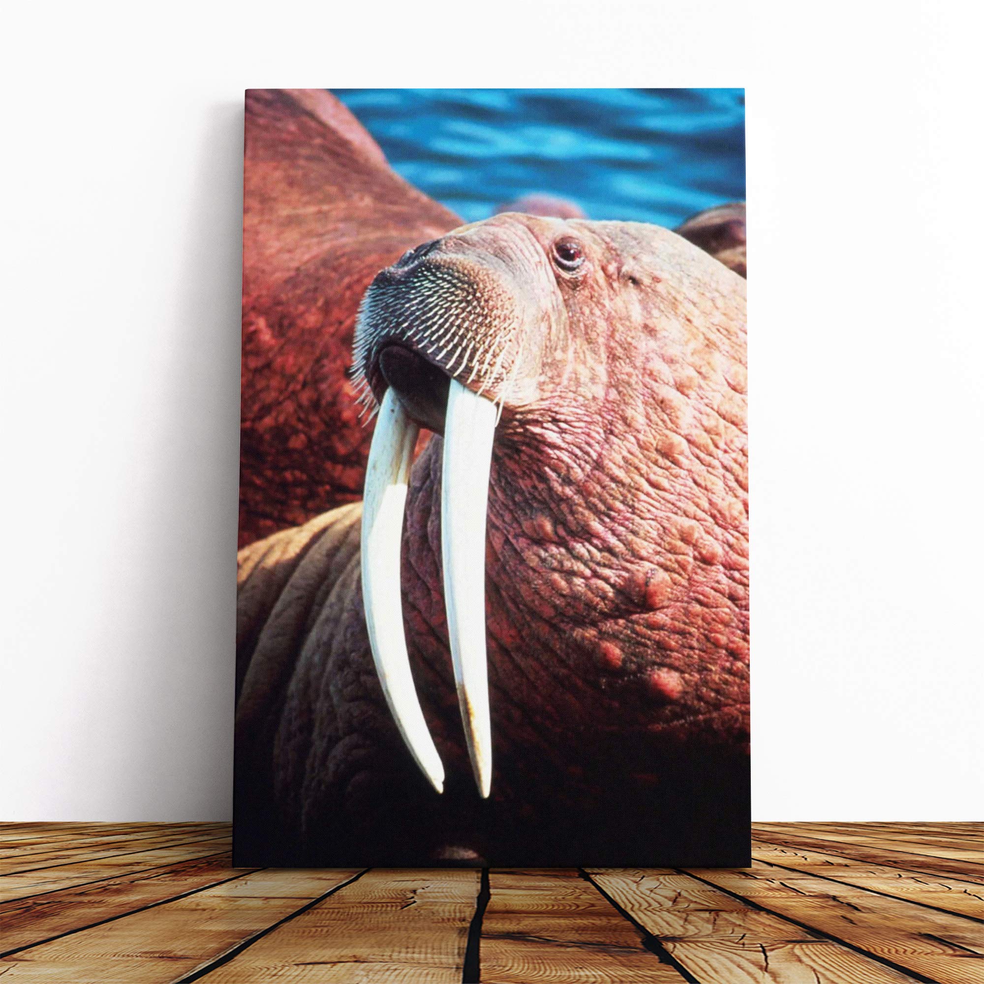 Walrus Canvas Print | Gallery Wrapped 30mm Frame Wall Art | 30x20 inches | Ready to Hang | Modern Picture | Living Room Bedroom Lounge Office