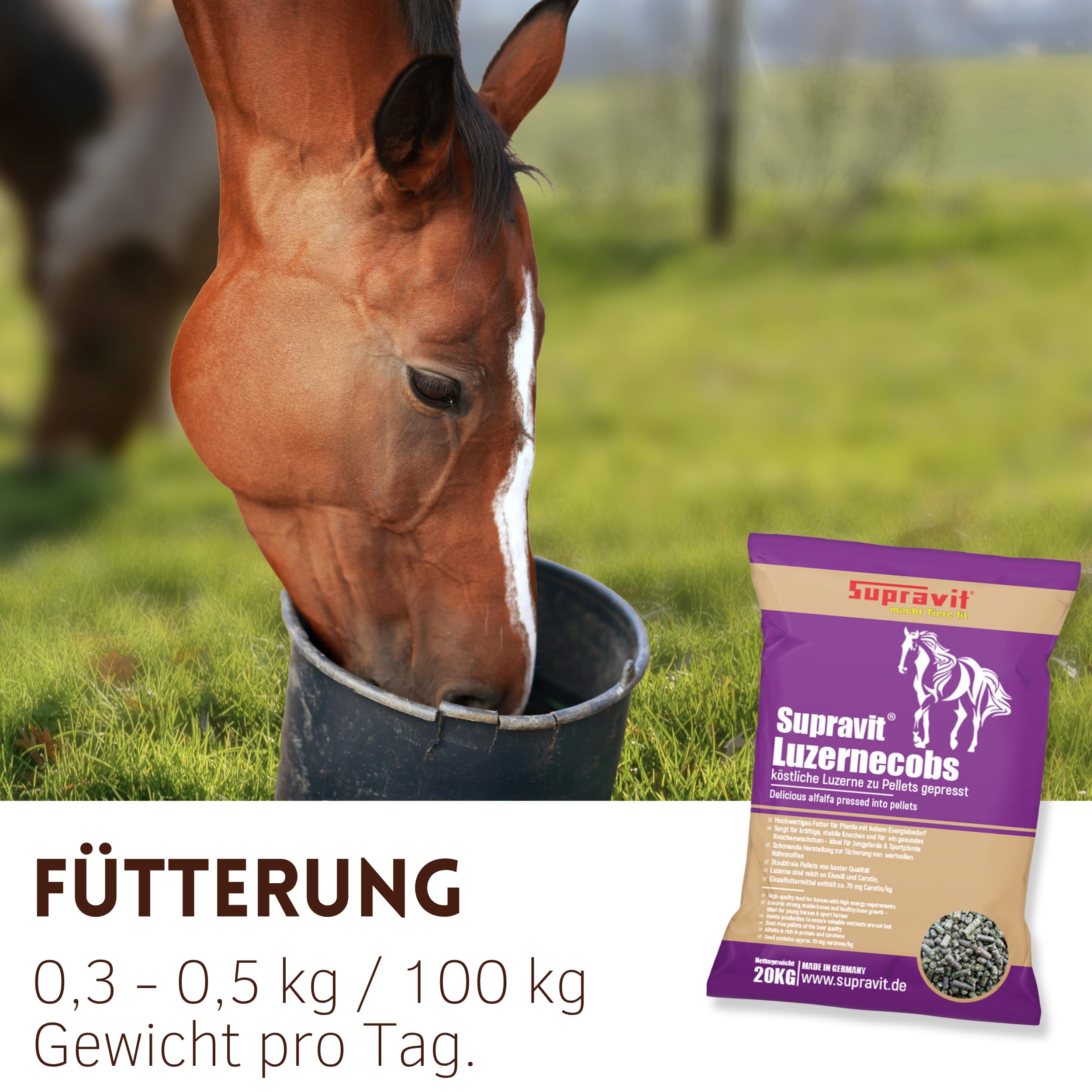 Supravit Luzernecobs 20kg - energiereiches Pferdefutter I Luzernepellets mit hohem Anteil an Carotin I liefert wichtige Mineralien für alle Pferde
