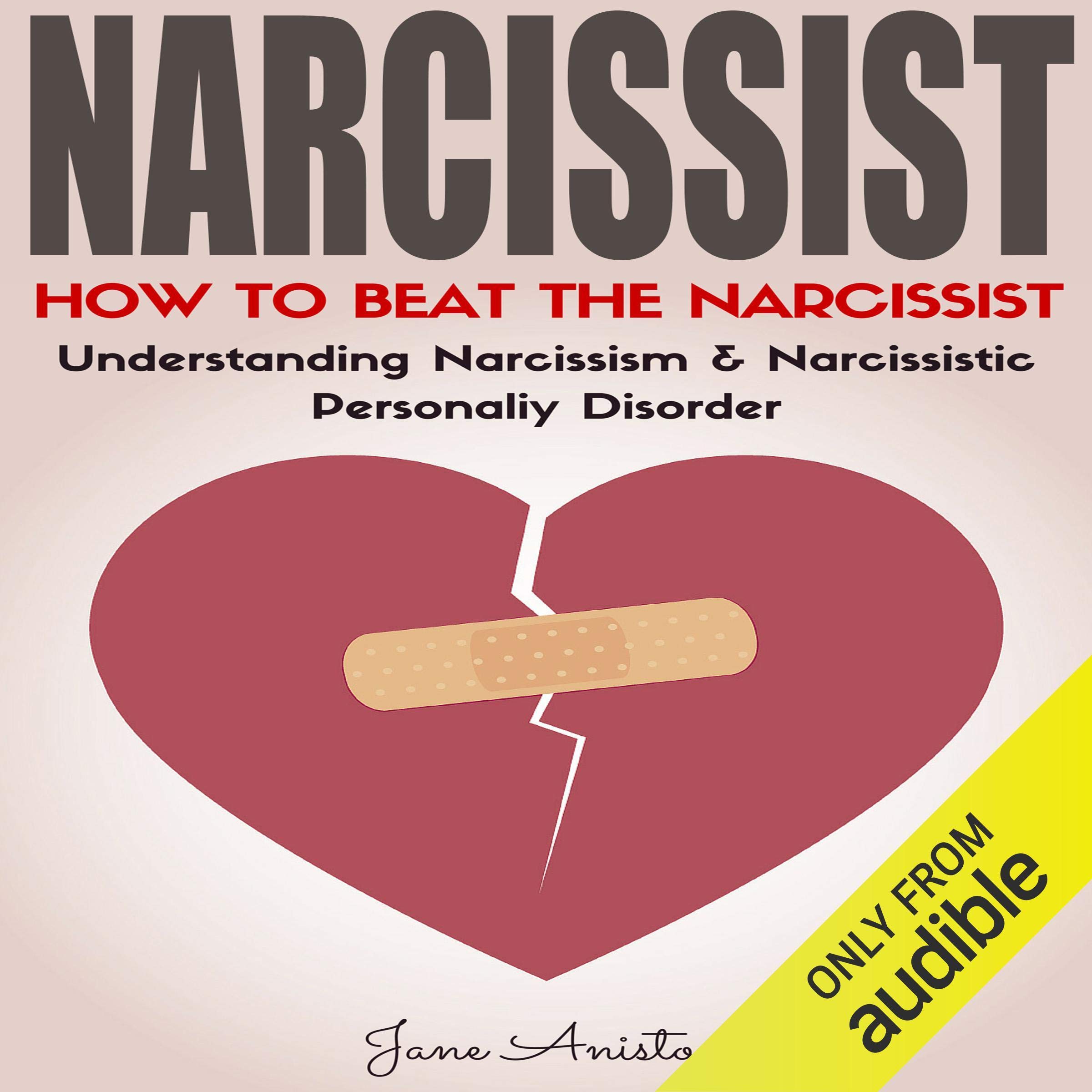 Cover art for Narcissist: How to Beat the Narcissist!