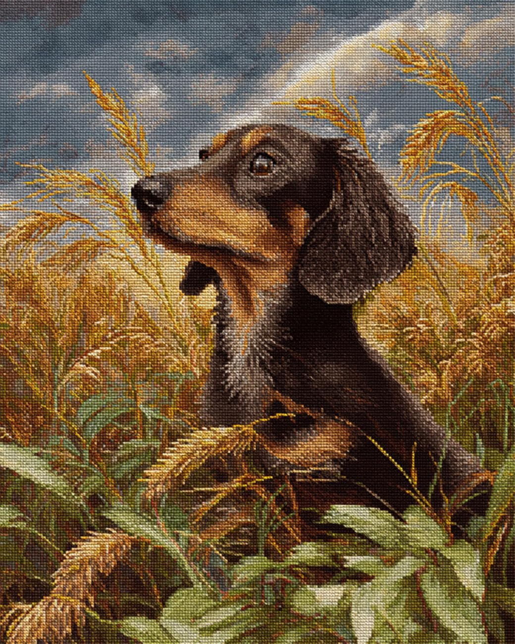 RKFLGEW DIY Bead Embroidery Kits Dachshunds in The Wheat Field 30x40cm