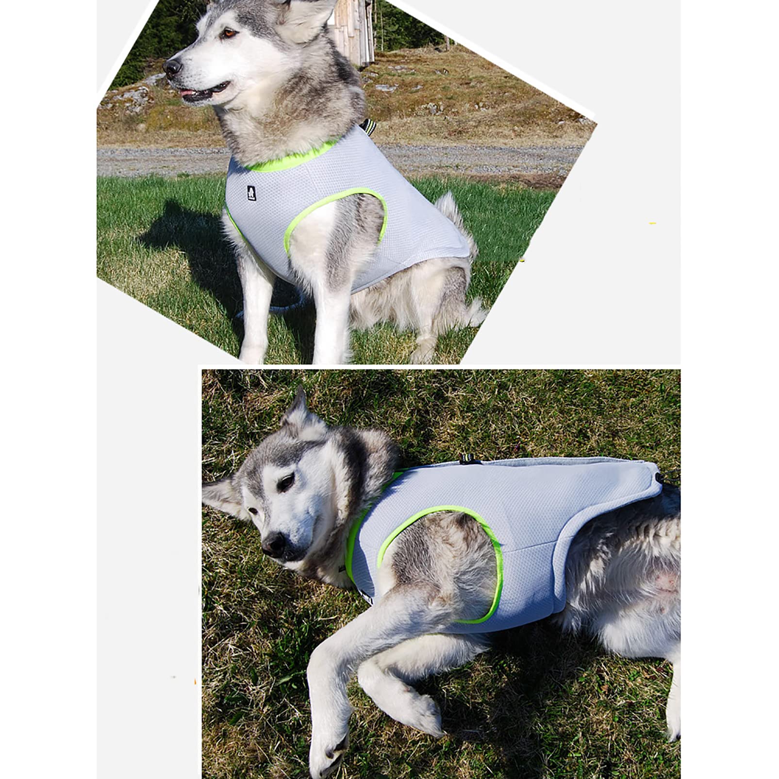 CUTTE Hundekühlweste Geschirr, Atmungsaktive Kühljacke für Hunde, Angstlinderung Sonnenschutz Reflektierende Sicherheit Outdoor Anti-Hitze Sommer