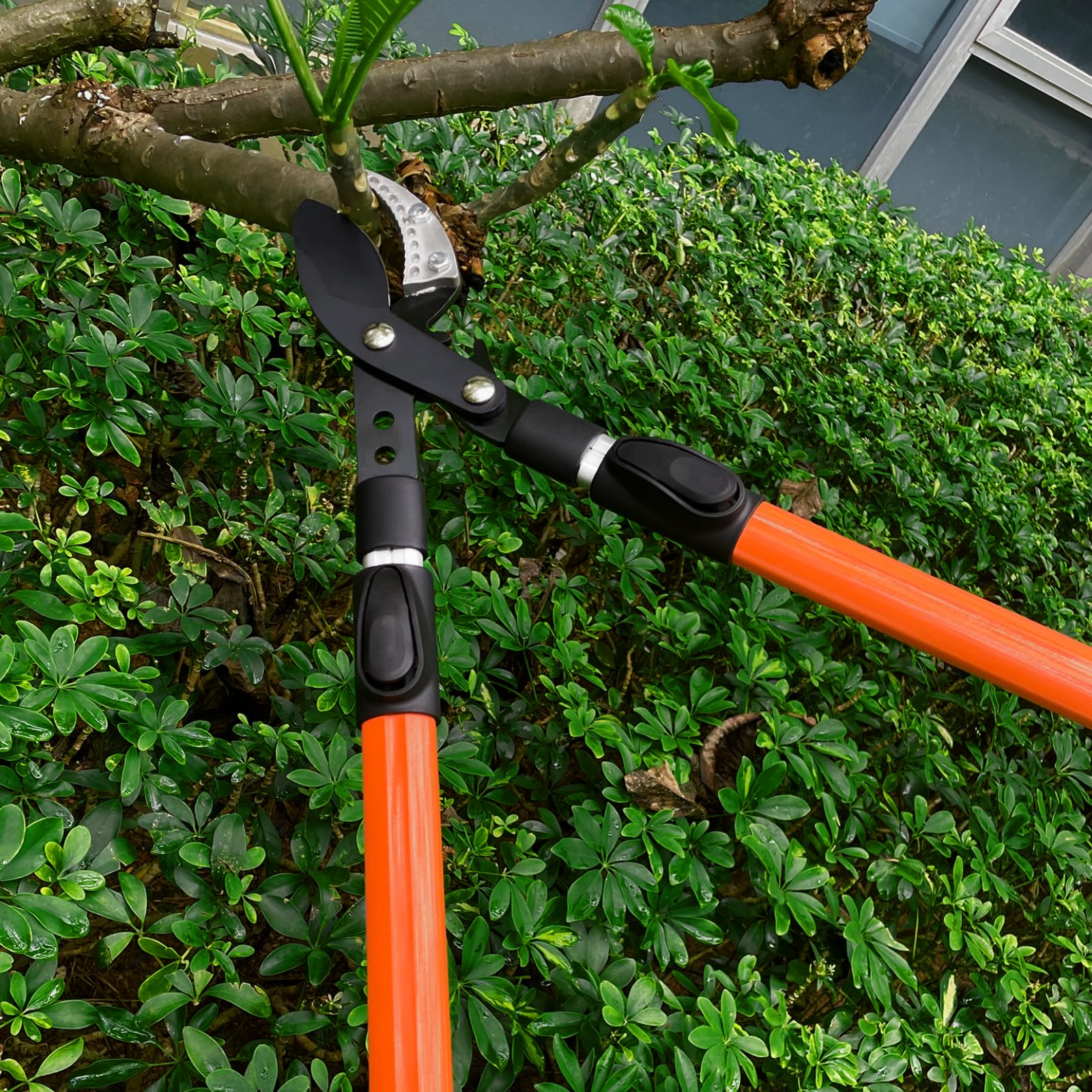 Coupe Branche Télescopique, 65 cm Sécateur avec Lames Revêtement Antiadhésif en Acier, Sécateur à Crémaillère Cisaille, Robuste Poignée pour la Coupe de Bois Vert, Couper Les Fleurs
