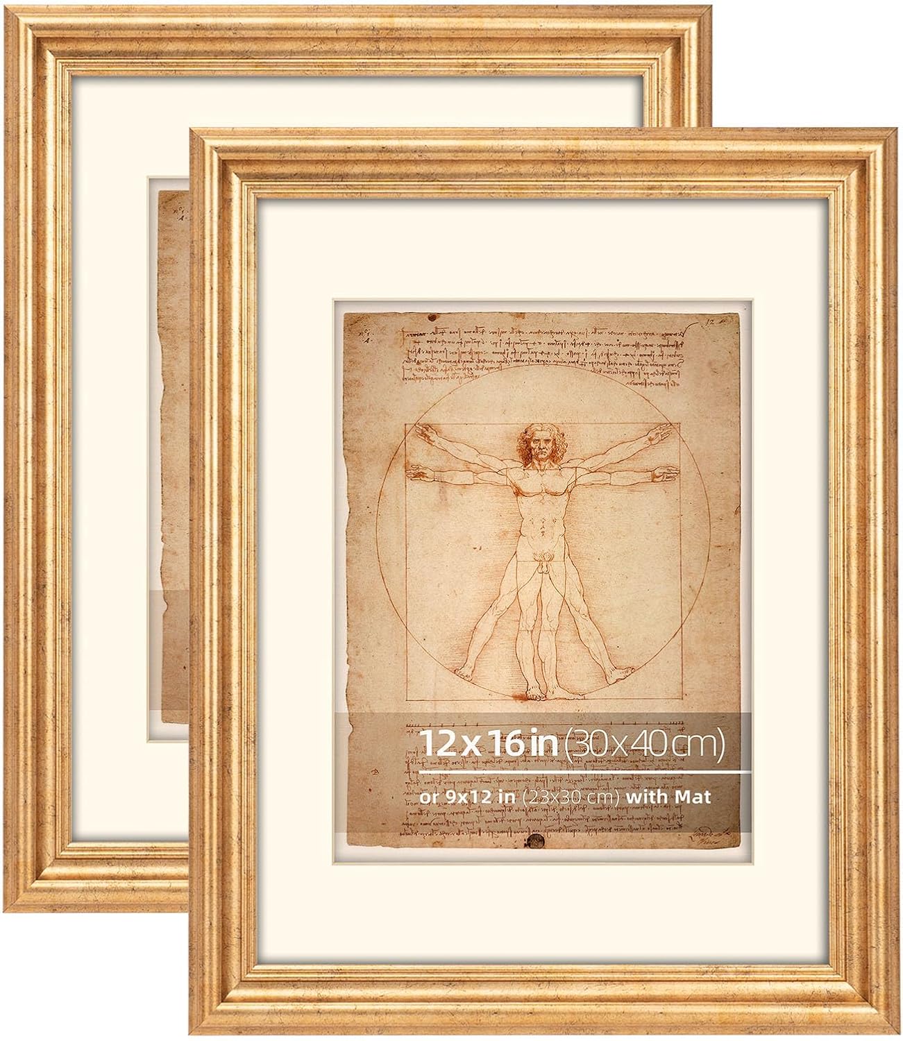 12x16 Rustic Gold Round Bevel Curved Ornate Vintage Picture Frame, Matted to 9x12 inches, Plexiglass Cover, Vertical or Horizontal Wall Mount Display, 2 Pack