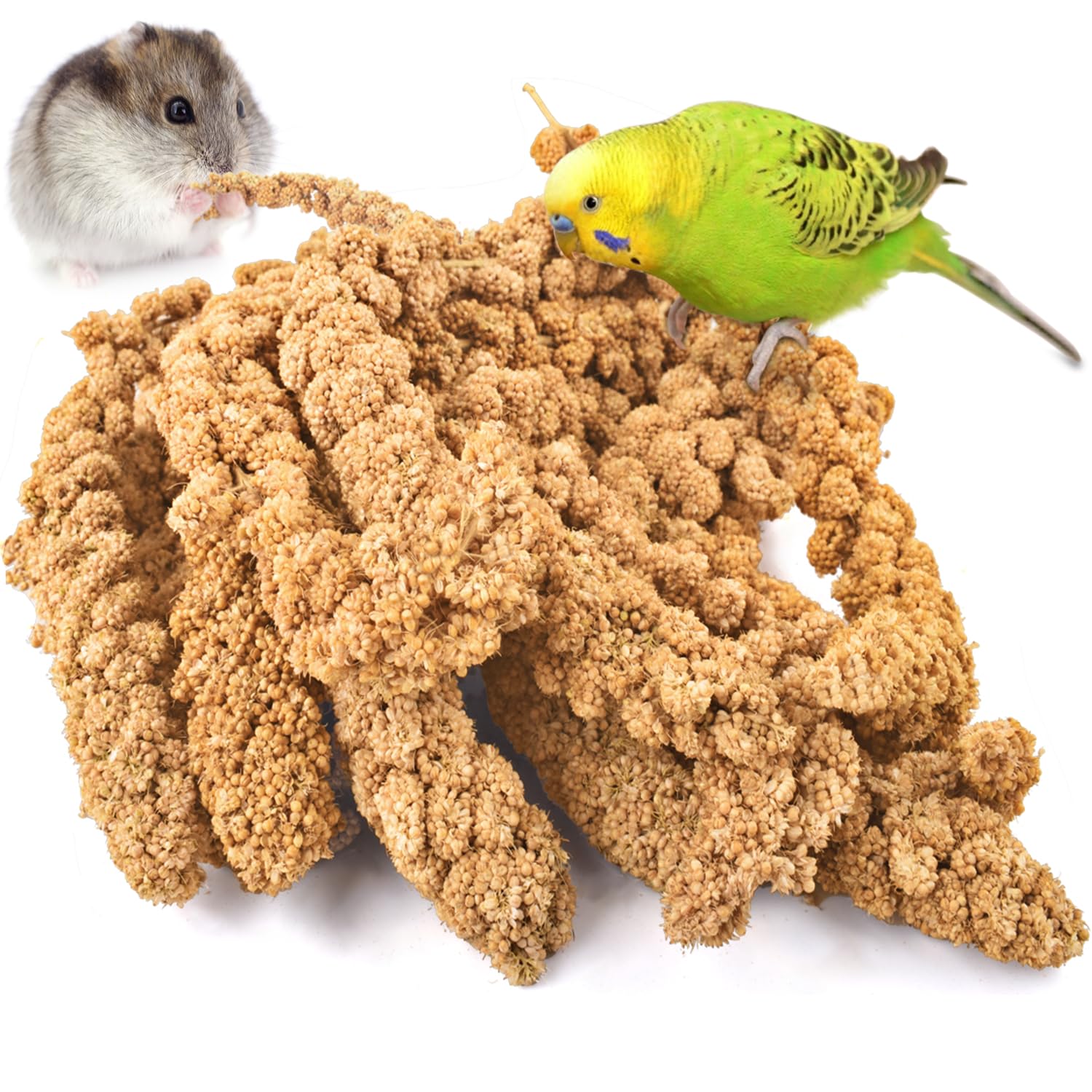 KATUMO 1.1LB Spray Millet Treat for Pet Birds, Natual Sun-Dried Bird Millet Parrot Food for Parakeet Budgie Cockatiel Finches Lovebird Conure Parrots