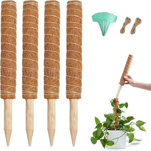Joyhalo Soporte para plantas Monstera de poste de musgo de 48.7 pulgadas, 4 postes de musgo apilables de 15.7 pulgadas, estacas para plantas de