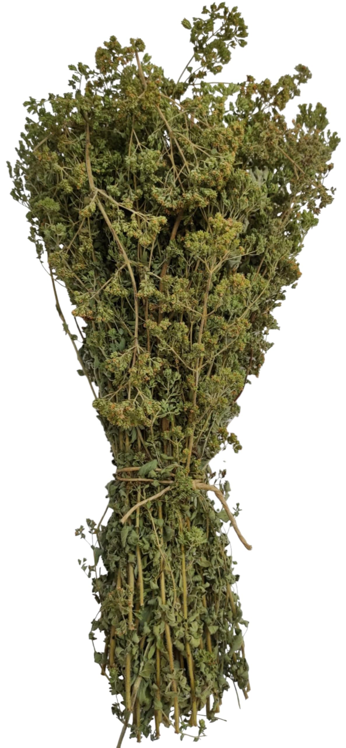 Zertifiziertes Bio Griechisches Getrocknetes Berg Oregano Bündel 85g - 1,95kg Ernte Origanum Vulgare (1950 gramm)