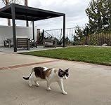 Review Image by Kat Kat