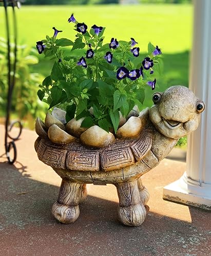 Miniatura 2 de Red Carpet Studios Macetero compuesto 3D para interiores y exteriores, mediano, tortuga de madera