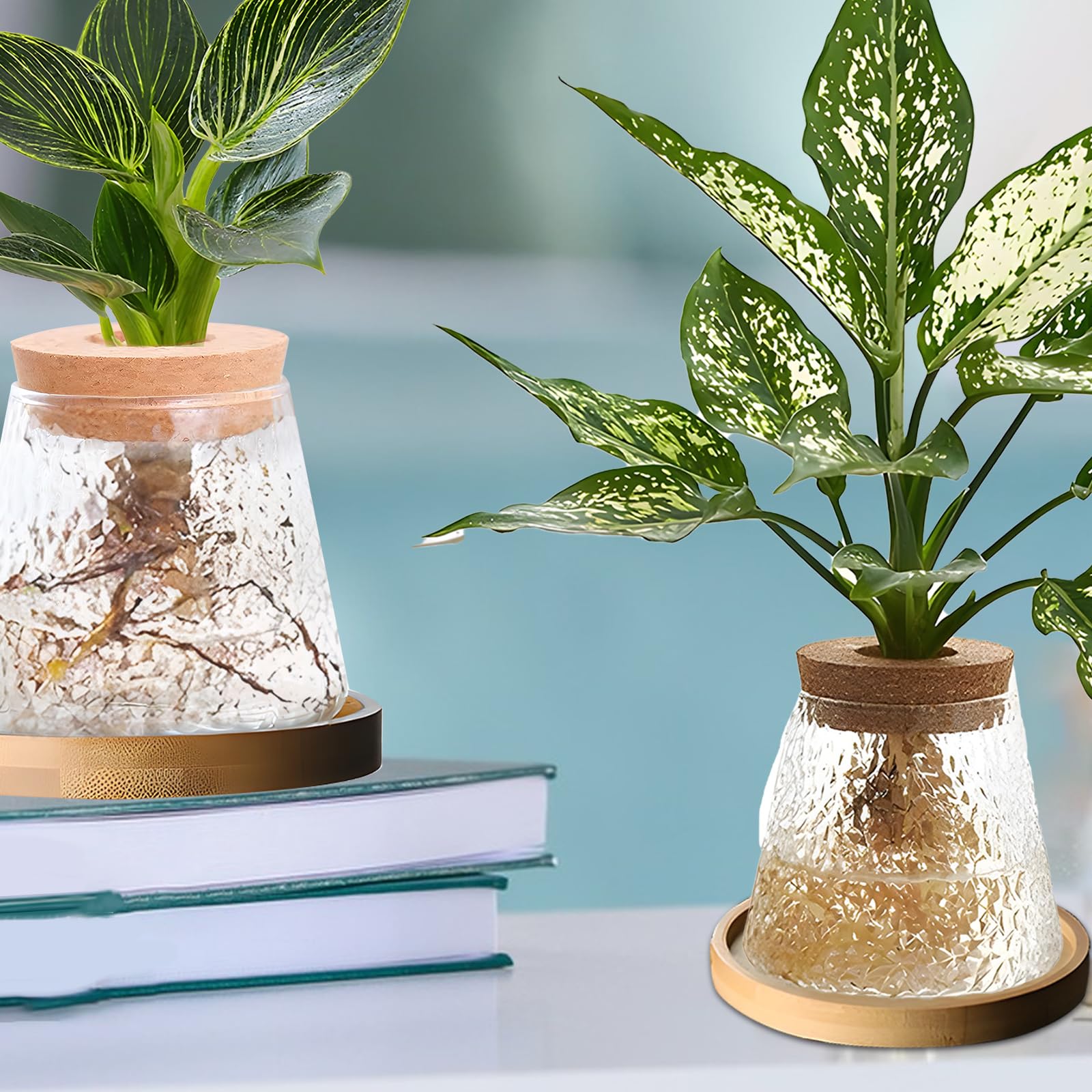 Kit De 2 Estaciones De Propagación De Plantas Para Mesa - Mini Invernadero De Vidrio Borosilicato
