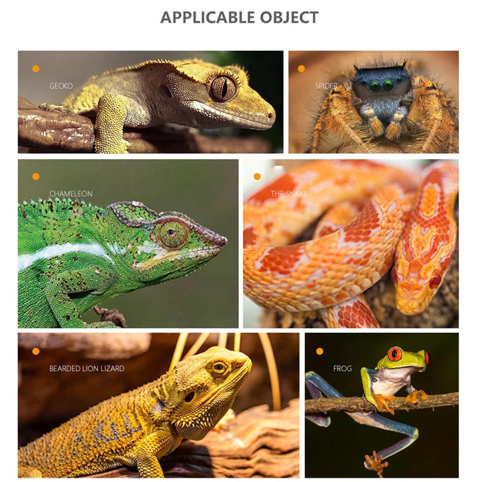 Rama trepadora de reptiles, decoración de tanque de resina para reptiles, accesorios de rama de árbol para acuarios, ideal para arañas y otras mascotas trepadoras, potenciador natural del hábitat