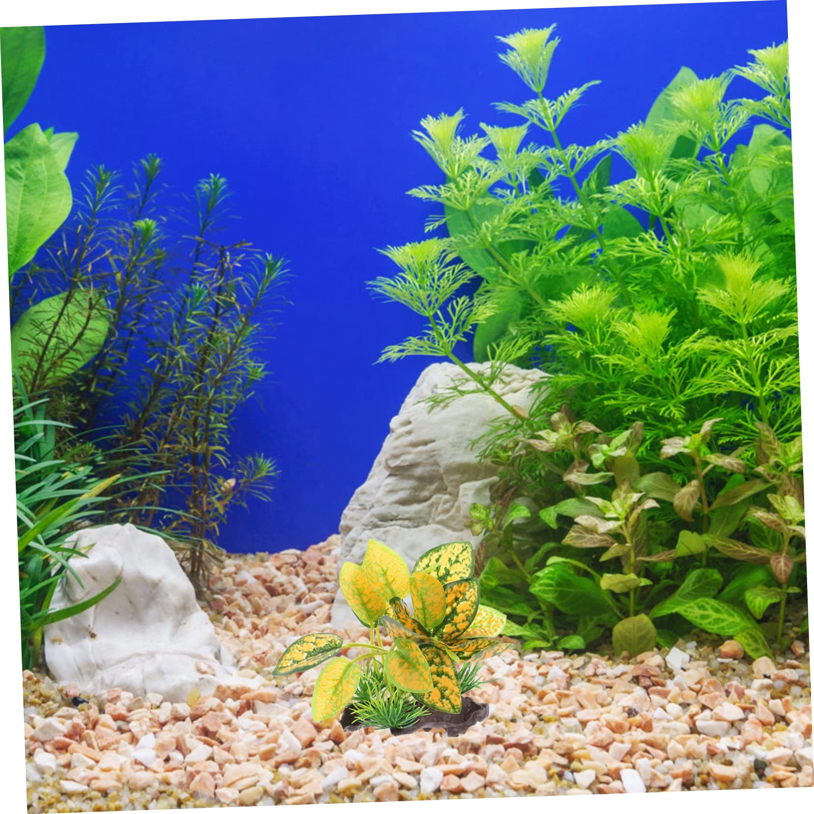Alipis 3 Set Ornamenti Di Piante Acquatiche Simulate Falso Cisterna Decorazioni Per Acquari Finte Decorazioni in Acquatica Legni Per Piccolo Piante Artificiali Resina 3 Pezzi * 3