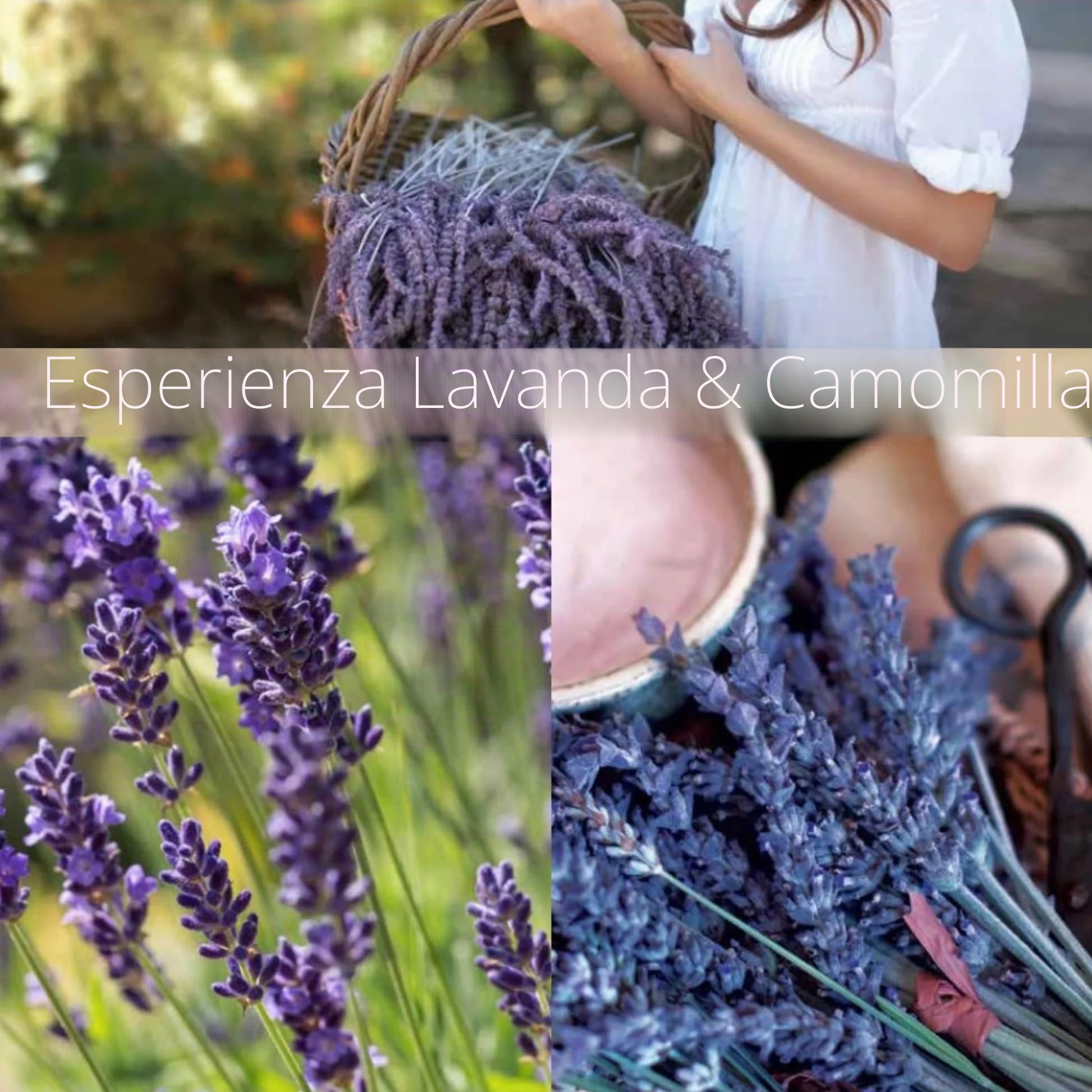 Cuccio Burro Corpo Lavanda & Camomilla 8 Oz