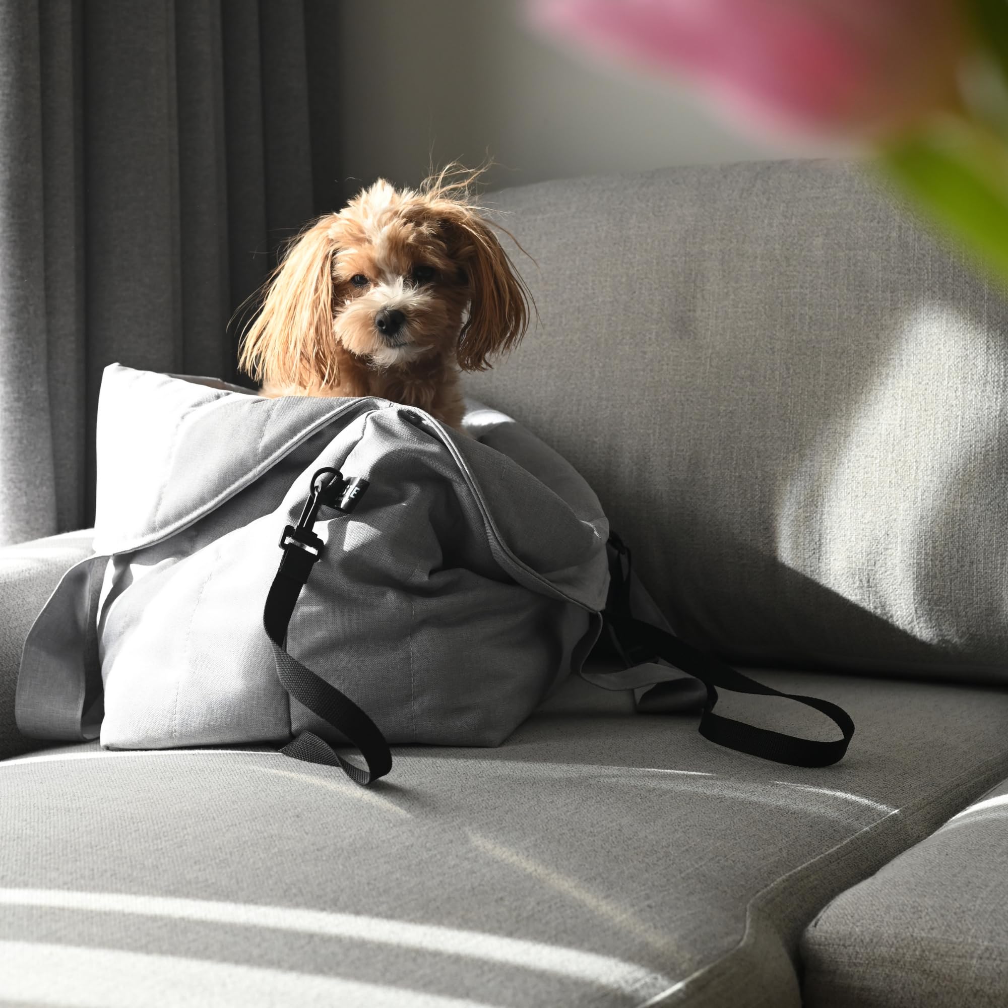 3in1 Hundetasche & Transportbox – Autositz, Reisebett & Tragetasche für kleine Hunde & Katzen – Handgefertigt in der EU – Waschbar mit Kissen (Grau)