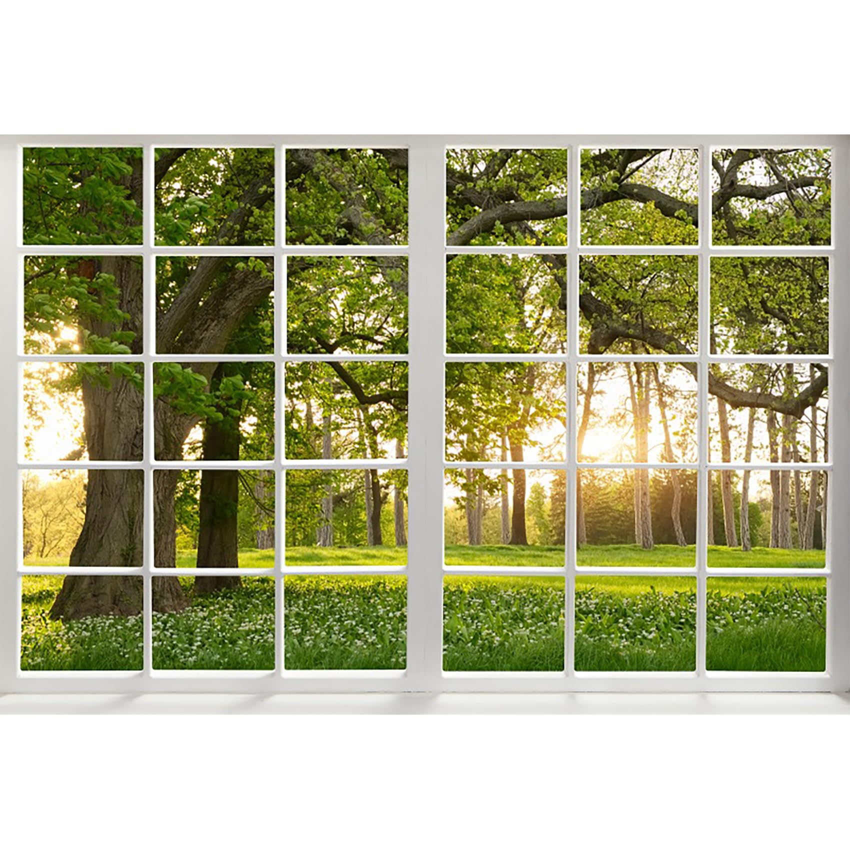Toile photo paysage printanier Renaiss pour corriger vos fonds - 8