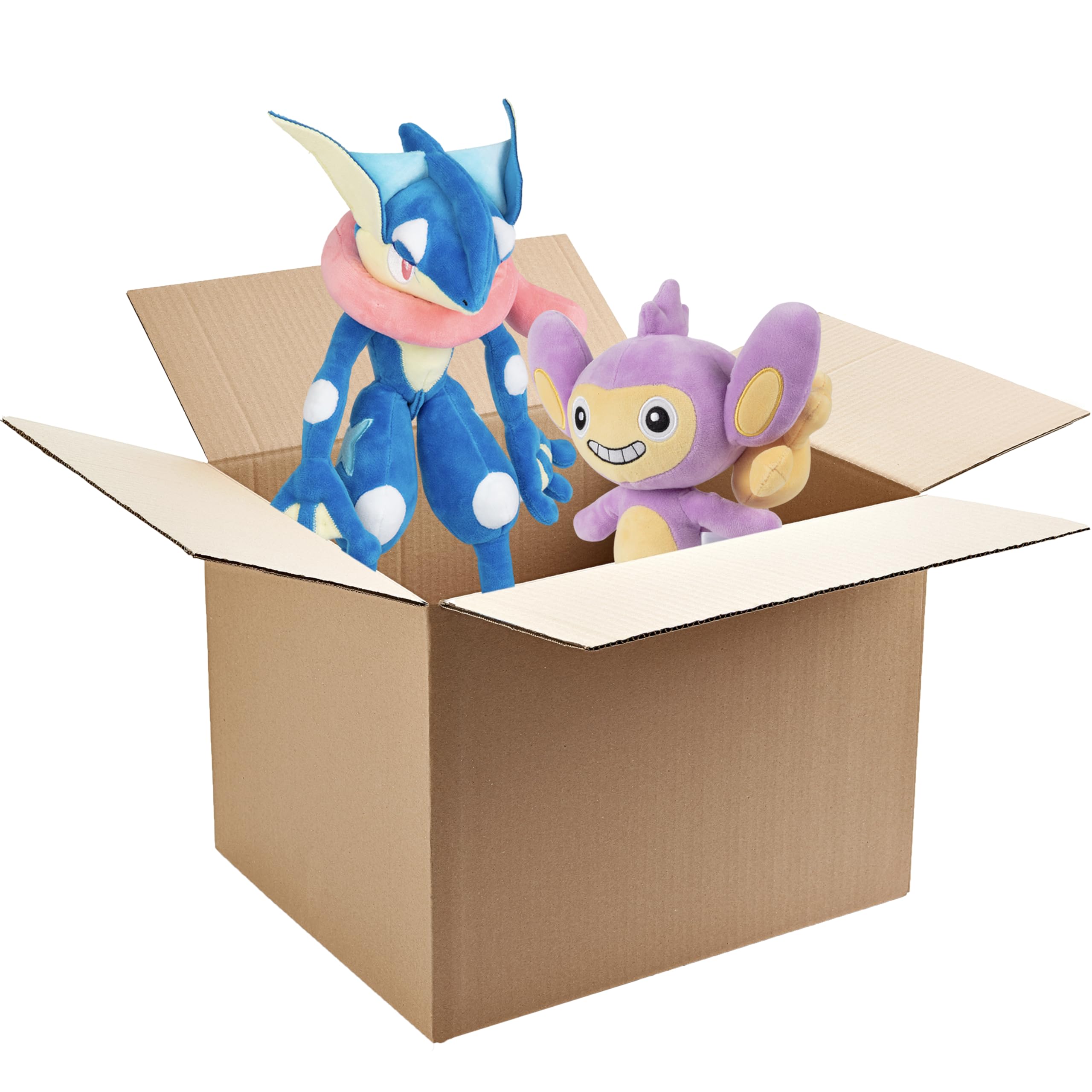 Amazon.com: Pokemon 8