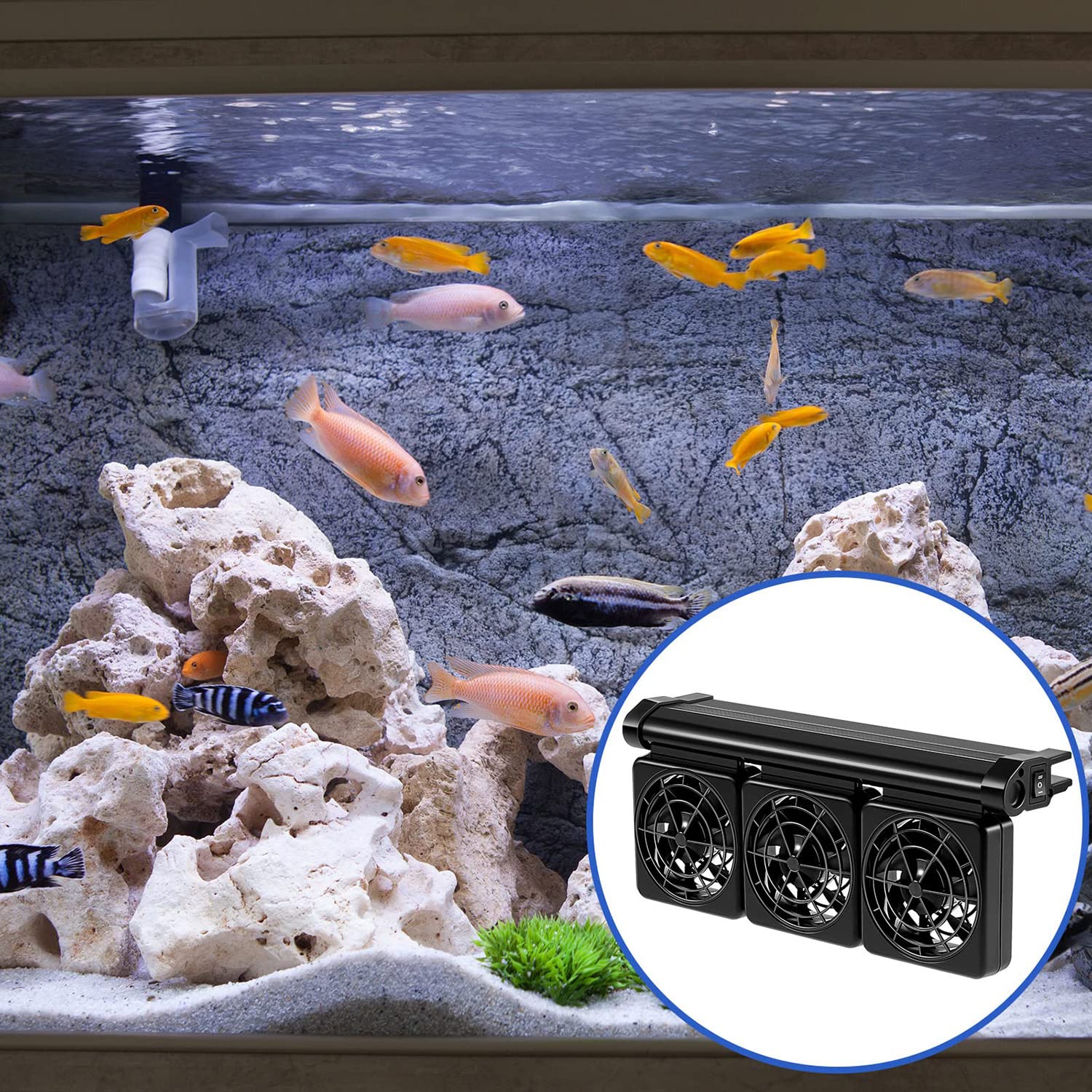 Refroidisseur d'aquarium – Puissant système de refroidissement pour aquarium à 2 vitesses pour eau douce salée – Refroidisseur noir pour un contrôle efficace de la température