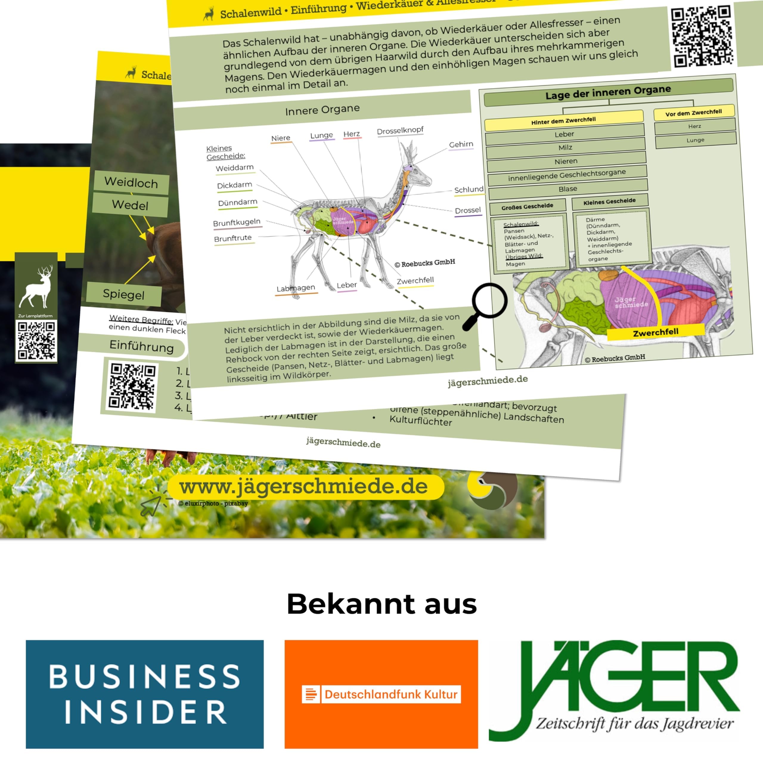Lernkarten: Erfolgreich die Jagdprüfung bestehen & sicher zum Jagdschein - Das Buch neu gedacht; kompakt & digital unterstützt [Standardwerk]