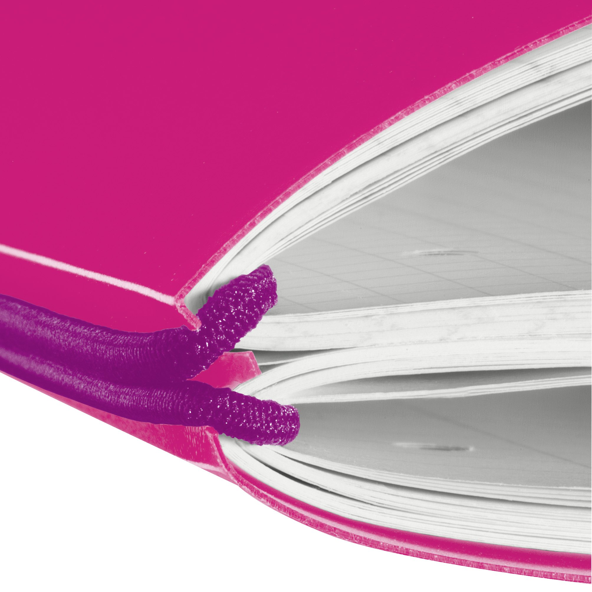 Notatnik A4 PP my.book Flex, 2x40 kartek, różowy, kratka, linia