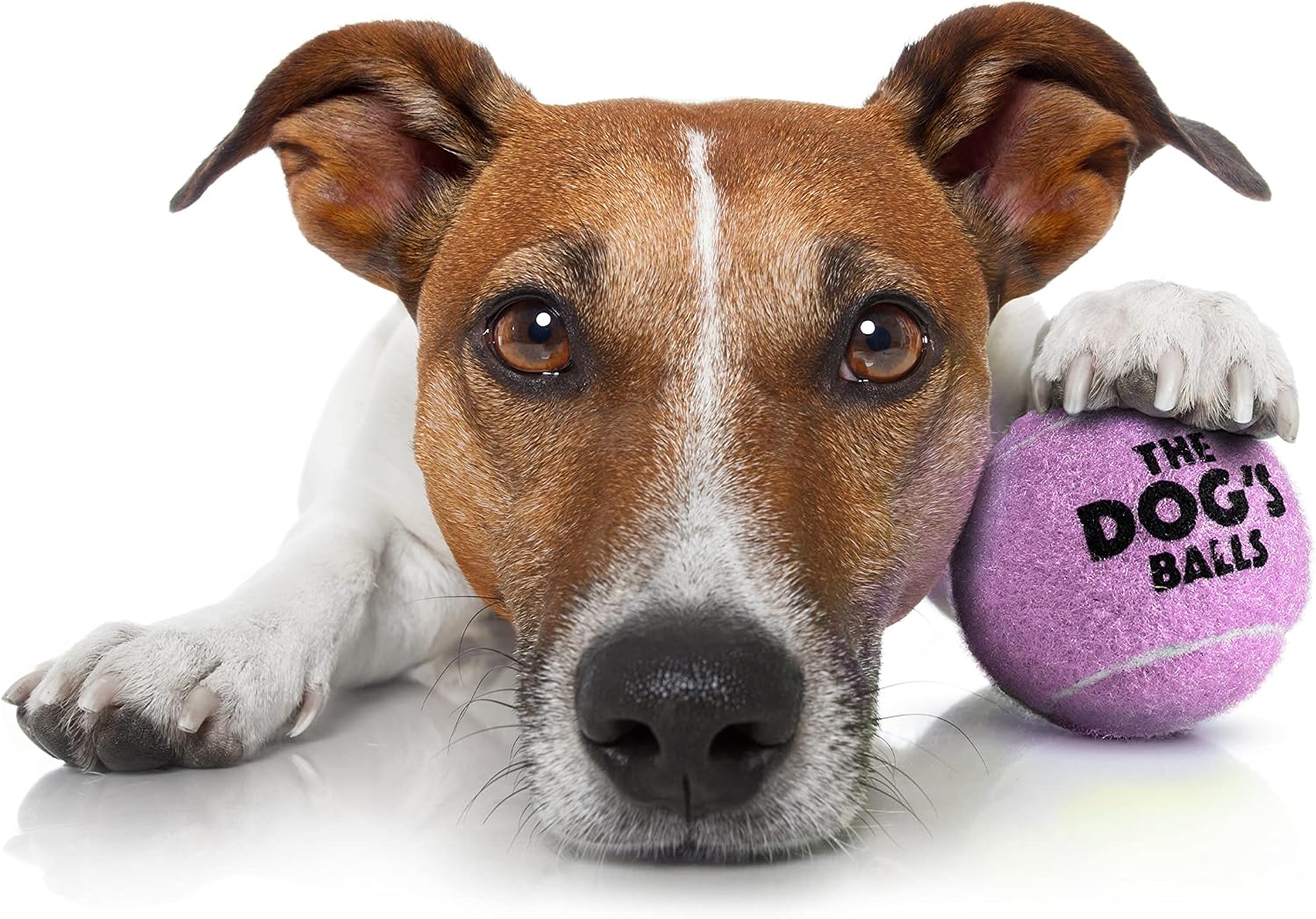 The Dog's Balls - Dog Tennis Balls, Lilac, Small, 6‑Pack, Purple, 6 Small Tennis Balls - Image 4