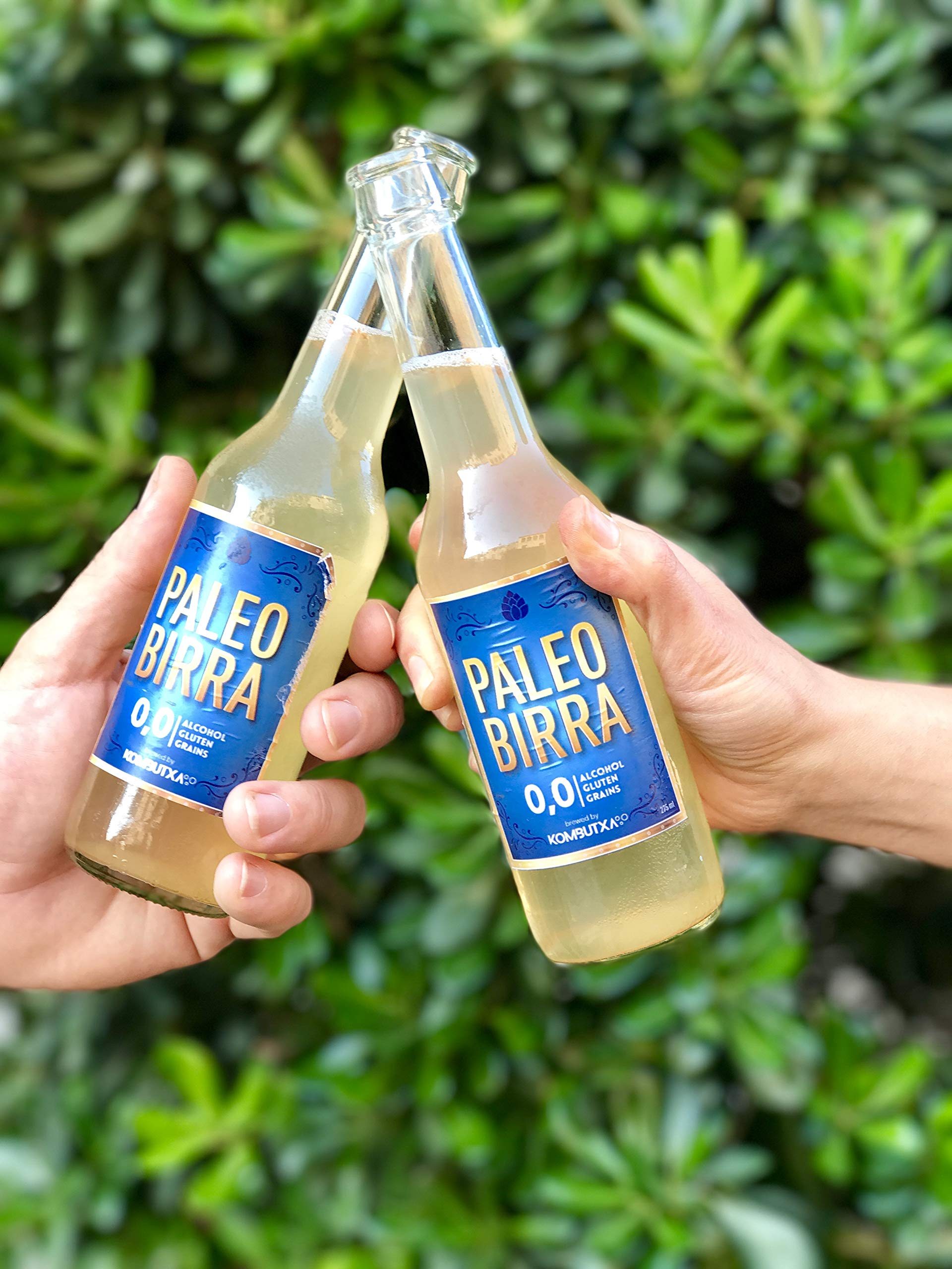 KOMBUTXA TÈ KOMBUCHA BIBITA ECOLOGICA - Confezione da 12ud di 250ml | Sapore Paleobirra | Bevanda Energetica al Tè Fermentato Biologico | Senza zuccheri aggiunti
