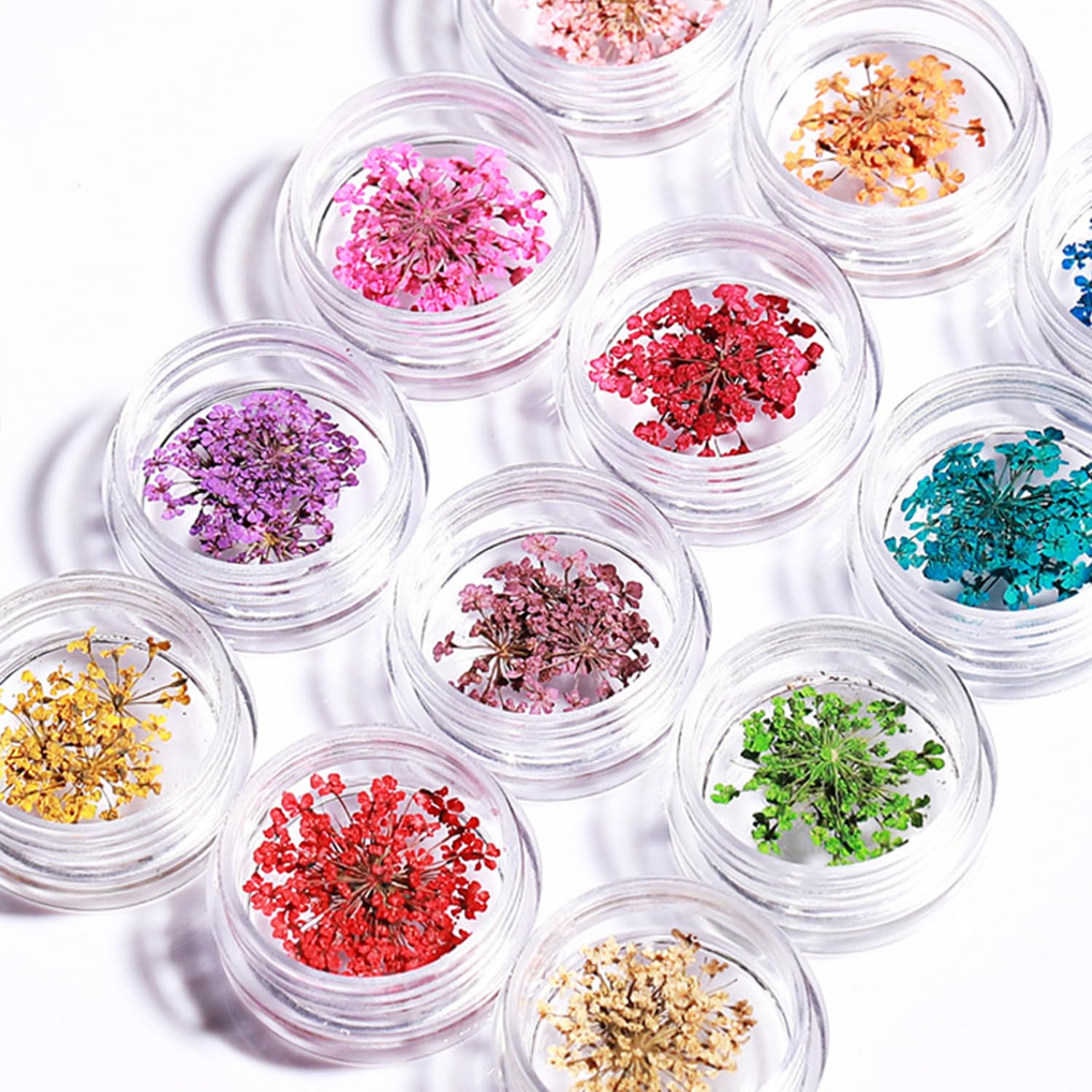 12 Bocaux Fleurs Séchées Pour Nail Art - Décoration Ongles Naturelle