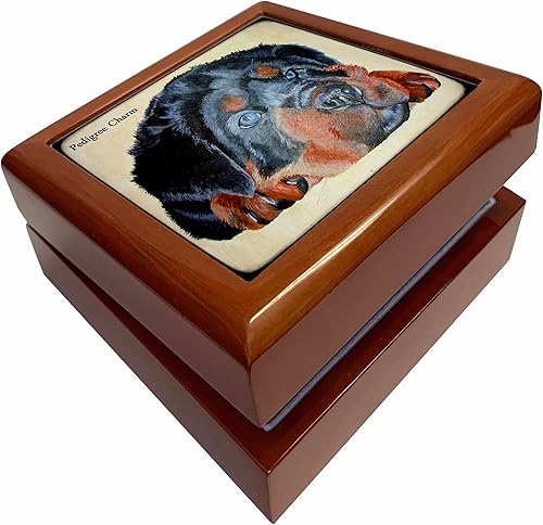 3dRose Pedigree Charm- humor, dog, dogs, rottweiler, rottie, rotties, rottweilers, pups, puppy, puppies, Jewelry Box jb-78690-1