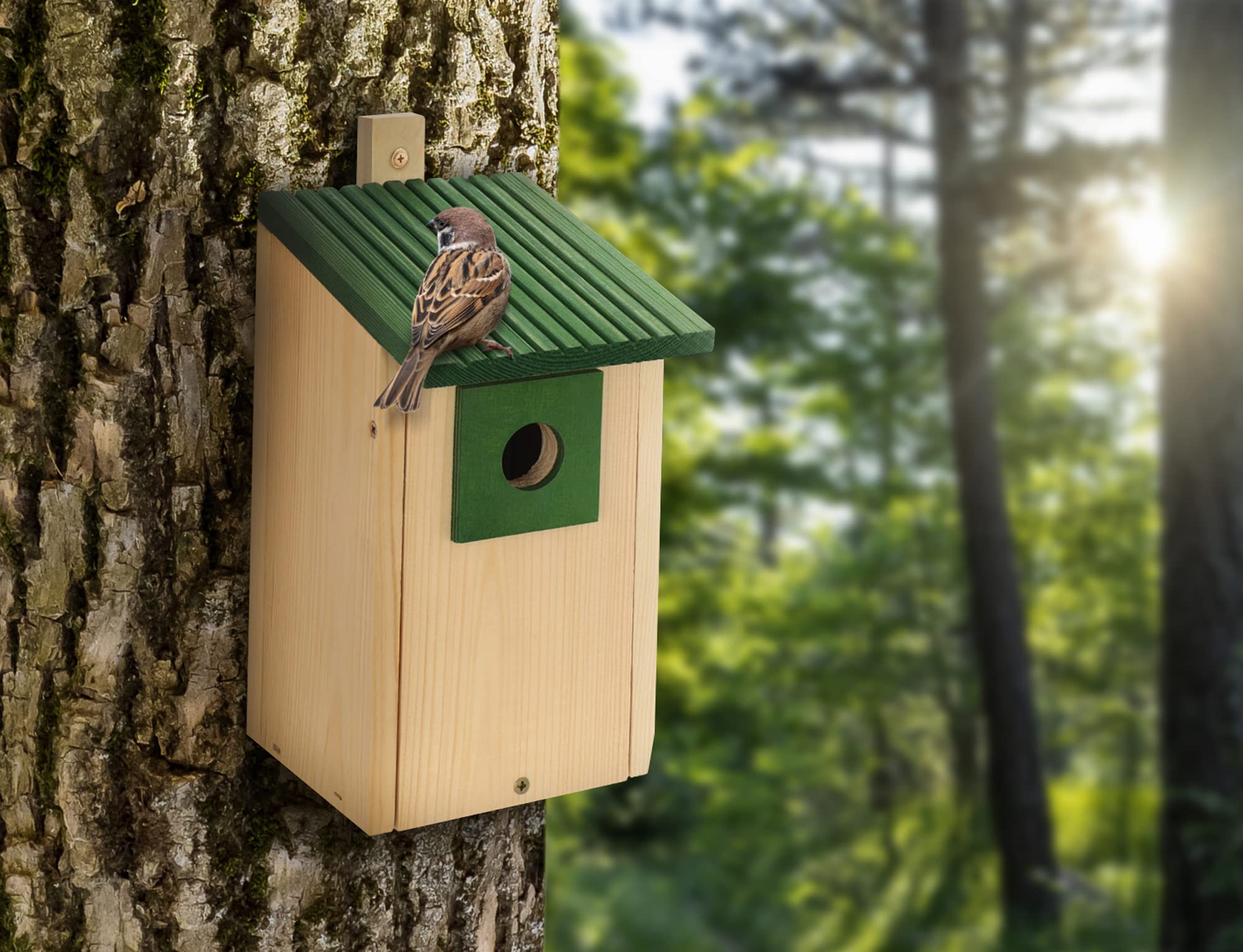 Nistkasten B20-NPx4 - Juego de nidos de madera, Casitas para Pájaros, Madera Natural, Resistente a la Intemperie, Construcción de Madera Maciza, Decoración de Jardín, Verde