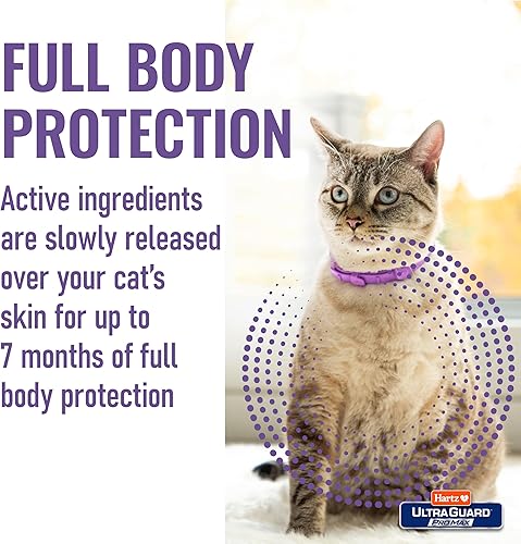 Miniatura 5 de Hartz UltraGuard ProMax - Collar para pulgas y garrapatas para gatos I 14 meses de protección, suave y cómodo, prevención de pulgas y garrapatas