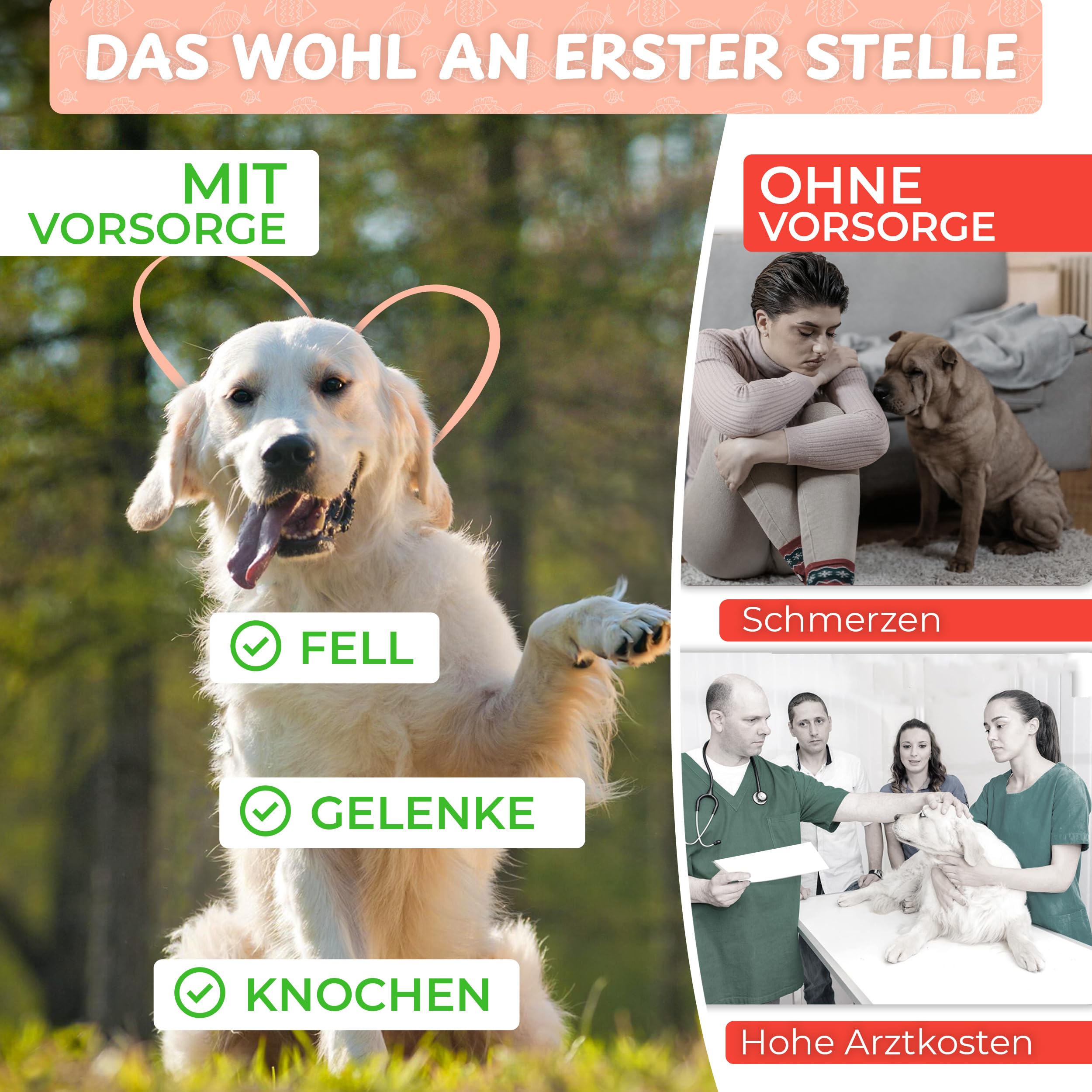 Lachsöl für Hunde Katzen &Pferde - natürliche Omega 3, 6 & 9 Quelle - für Gelenke Fell&Stoffwechsel - frisch abgefüllt in Deutschland - natürliches, hochdosiertes Lachs-Öl - Barf-Öl