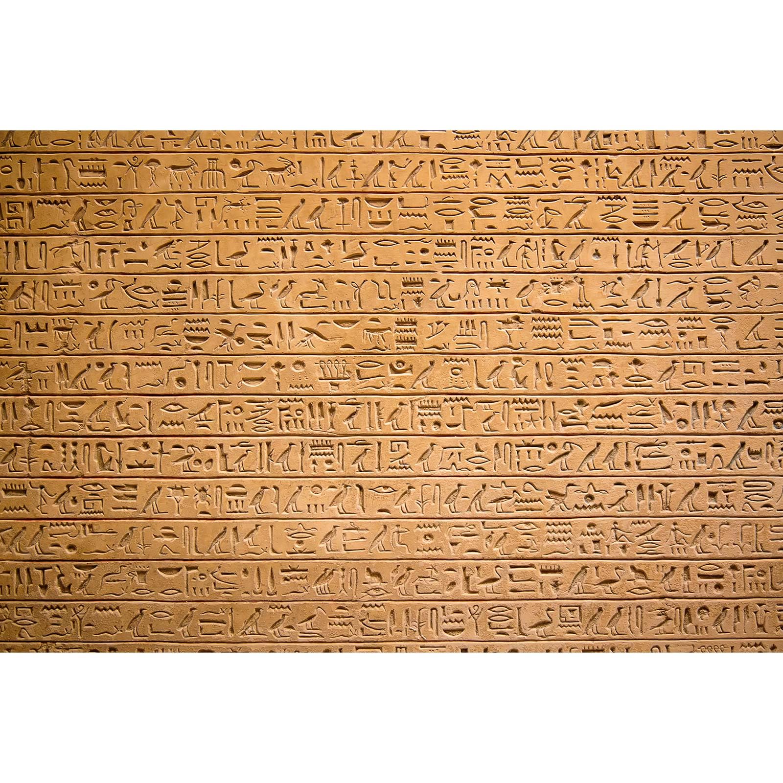 Egypt Hieroglyphs Backdrop Ancient Egyptians Civilization Photography Background Egyptian Art Photos Archaeology History Course Culture Background